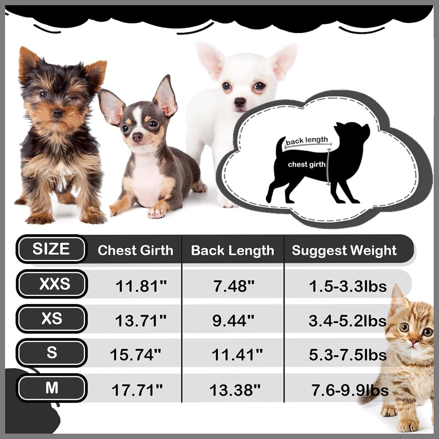 4-Pack Dog Clothes for Small Dogs Boy Male Summer Black Letter Security Puppy Shirts Cute Cool Breathable Clothes for Chihuahua Yorkie Shih Tzu Dachshund Pet Cat Outfit Clothing, Medium