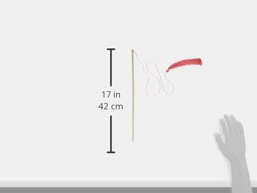 Admate Cat in the Box Tassel Teaser Red Medium image number 1