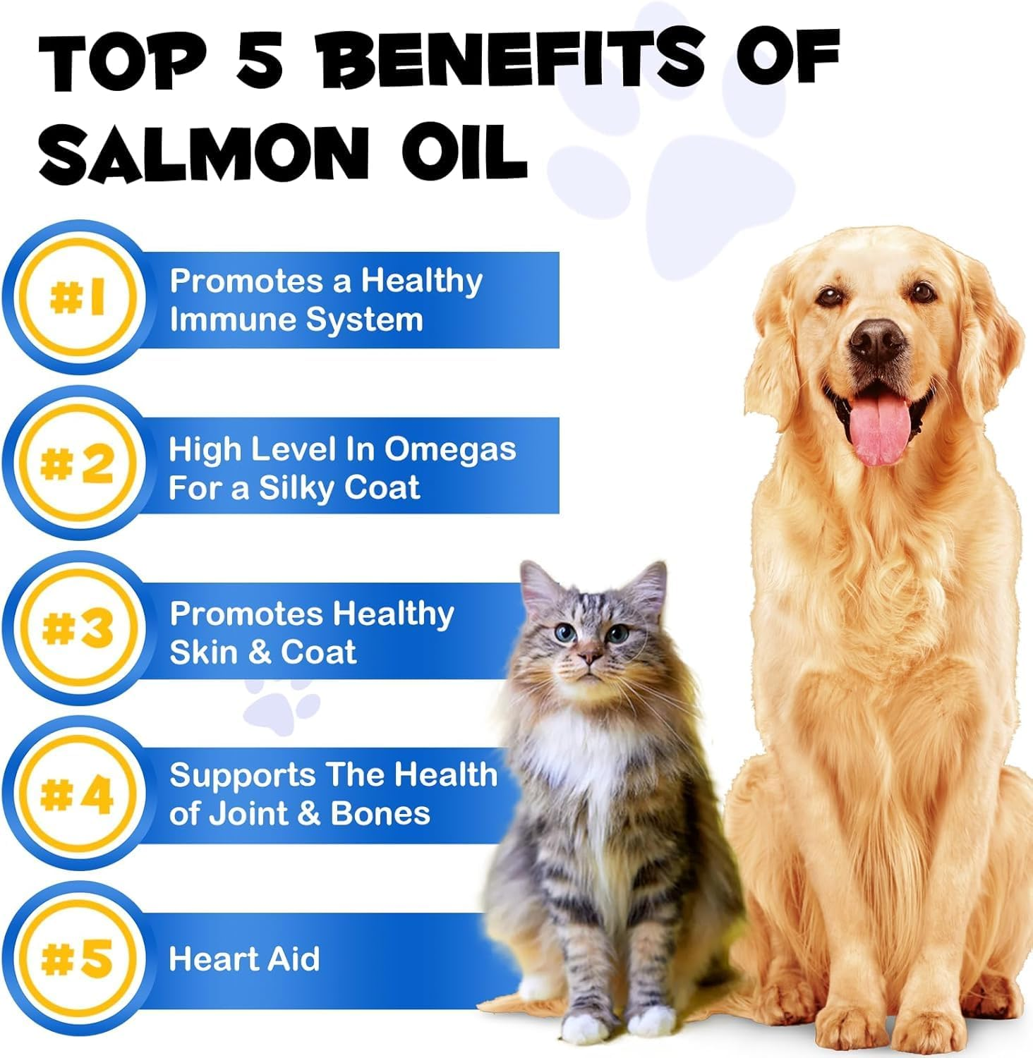 Wild Alaskan Salmon Oil for Dogs & Cats &ndash; Omega 3 & 6 Fish Oil Supplement &ndash; Cold-Pressed, Natural EPA + DHA for Skin, Coat, Joint & Immune Support &ndash; Heart & Brain Health &ndash; 250Ml - Vet-Approved Formula