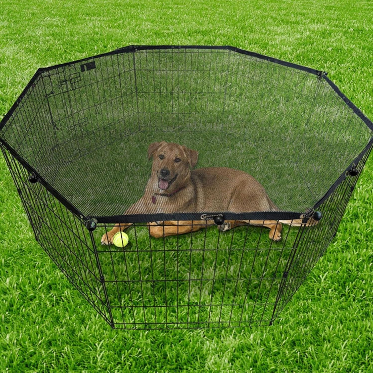Playpen Cover for Pets - Canine Play Area Protector, Dog Playpen Cover Sun/Rain Proof Top Cover | Playpen Cover Fits 8 Panels Dog Pen for Outdoor and Indoor, Escape-Proof and Sunshade Shield Protector image number 2