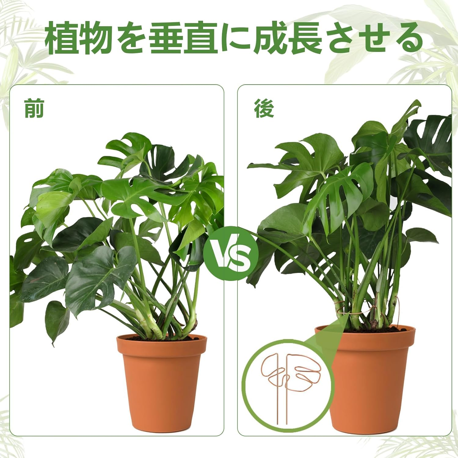 Charming Club Golden 30Cm 1PCS Plant Support for Monstera Potted Bendable Aluminum Wire Assisted Plant Growth Plant Lodging Prevention image number 3