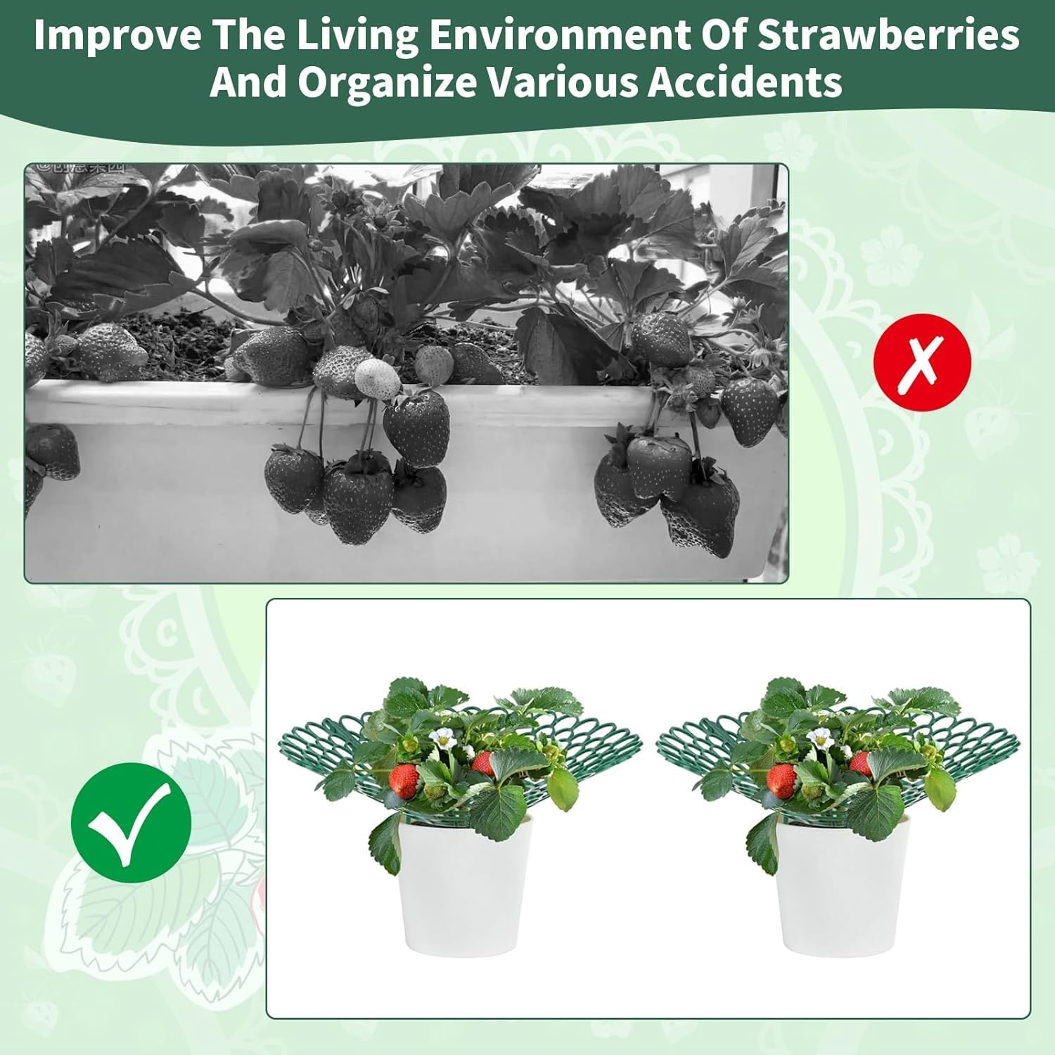 6Pack Strawberry Supports Petal-Shaped Strawberry Stand Plastic Fruits Growing Rack Balcony Vegetable Rack Planting Garden Accessories with 3 Sturdy Legs for Vegetable Garden Orchard