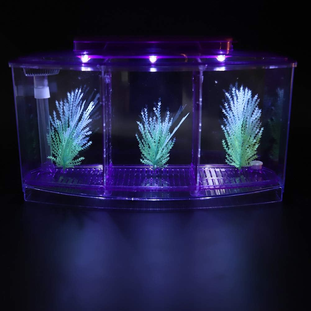 Three Areas Small Aquarium, Transparent Fish Tank, Desktop with Water Change Valve with LED Light for Betta Small Fishes(Purple 11X3.9X5.9In) image number 1