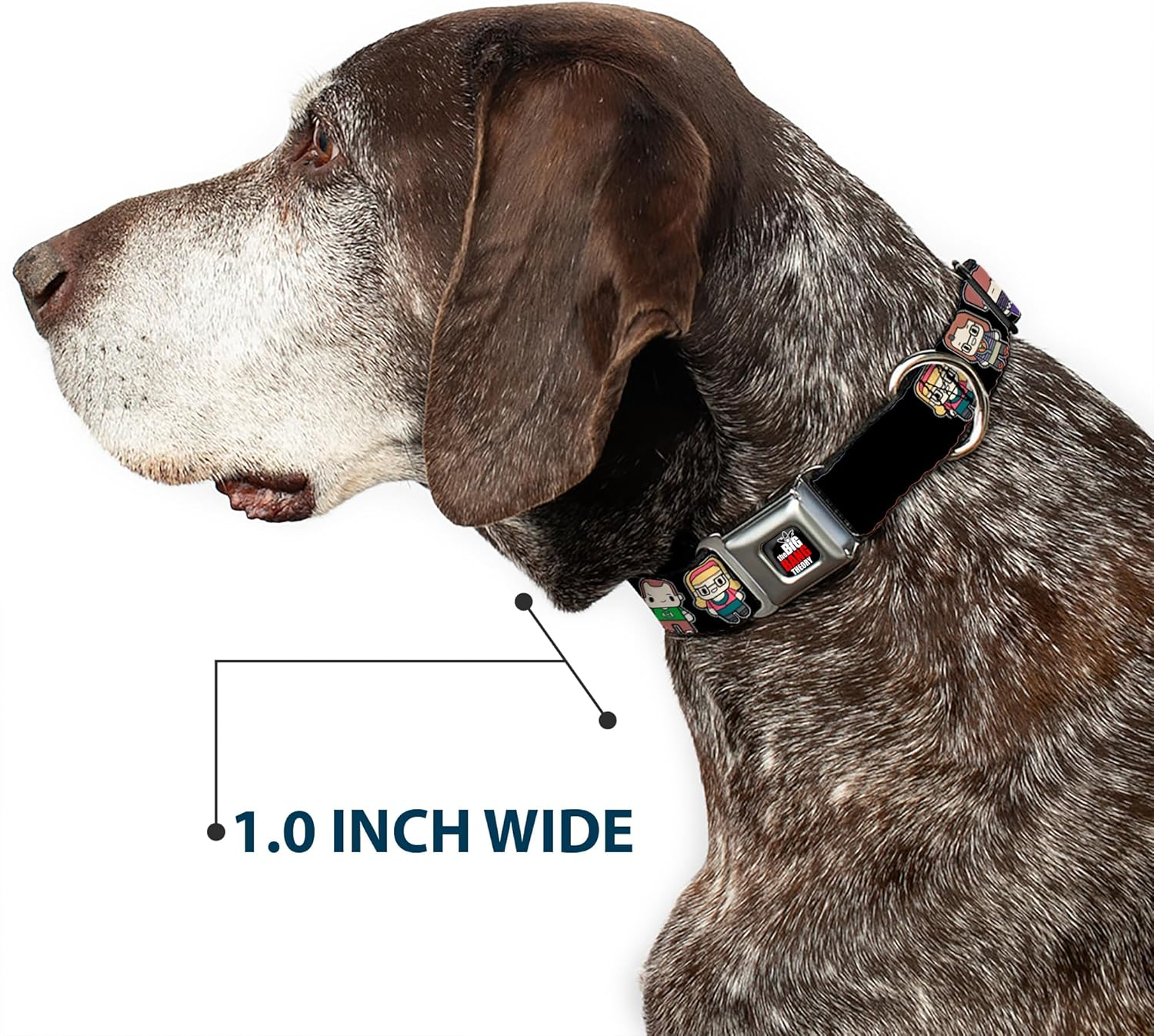 Buckle-Down Seatbelt Buckle Dog Collar - Big Bang Theory Chibi Characters Black - 1" Wide - Fits 15-26" Neck - Large image number 1