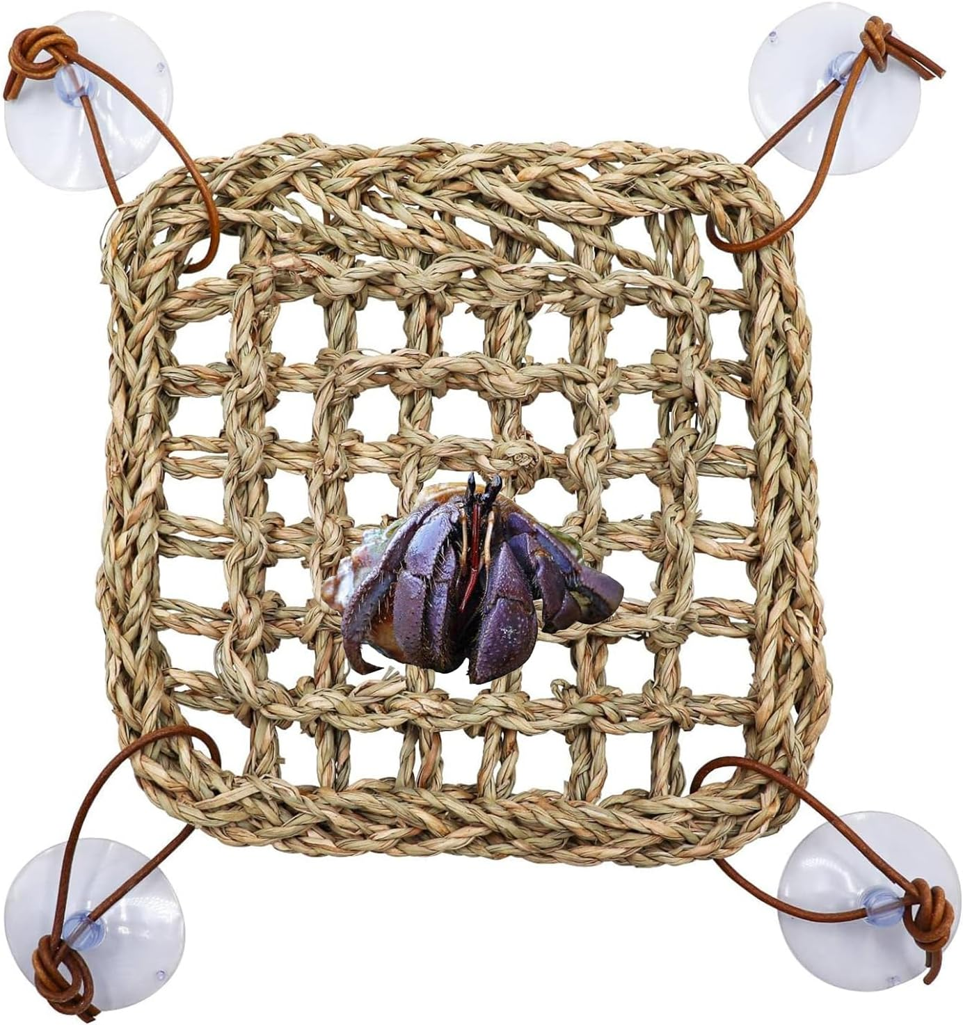 XUTONG Hermit Crab Climbing Toys, Seagrass Mat Lizard Hammock with Suction Cup, Natural Seagrass Woven Net, Tank Accessories for Small Reptiles Hermit Crab Lizard Hamster Guinea Pig Rats 7.1 X 7.1 In image number 1