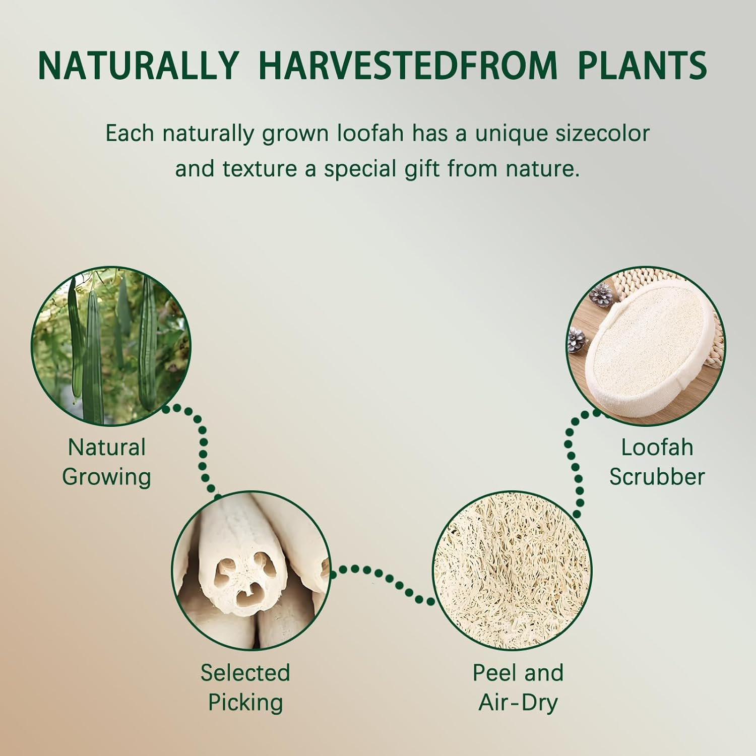 Checkzed Loofah， Authentic African Net Sponge & Exfoliating Body Scrubber, Organic Loofa Shower Sponge for Men & Women, Spa-Grade Skin Care, Plant-Based Checkzed Loofa (1 Pack) ﻿