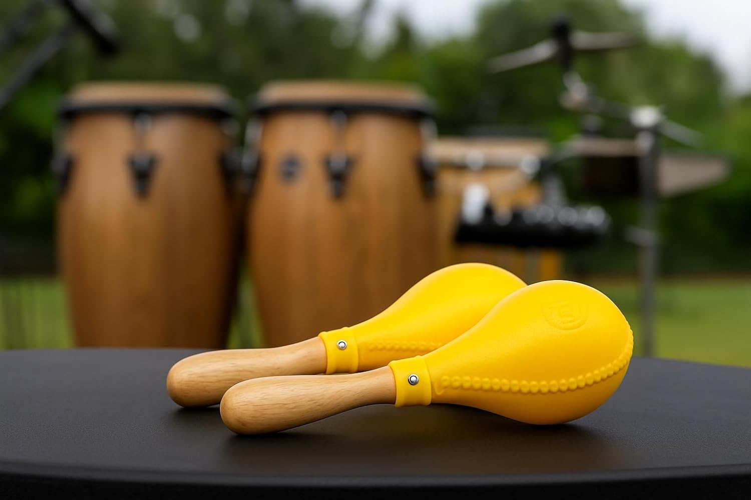 Latin Percussion LP281 Pro Maracas image number 1