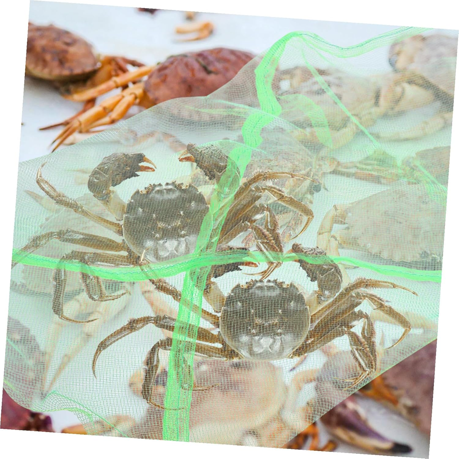 SEWACC 10Pcs Portable Crab Net Bags with Drawstring Quick-Dry Mesh Fishing Nets for Saltwater Crabbing Outdoor Storage Lightweight Breathable Bags for Fish and Seafood image number 6