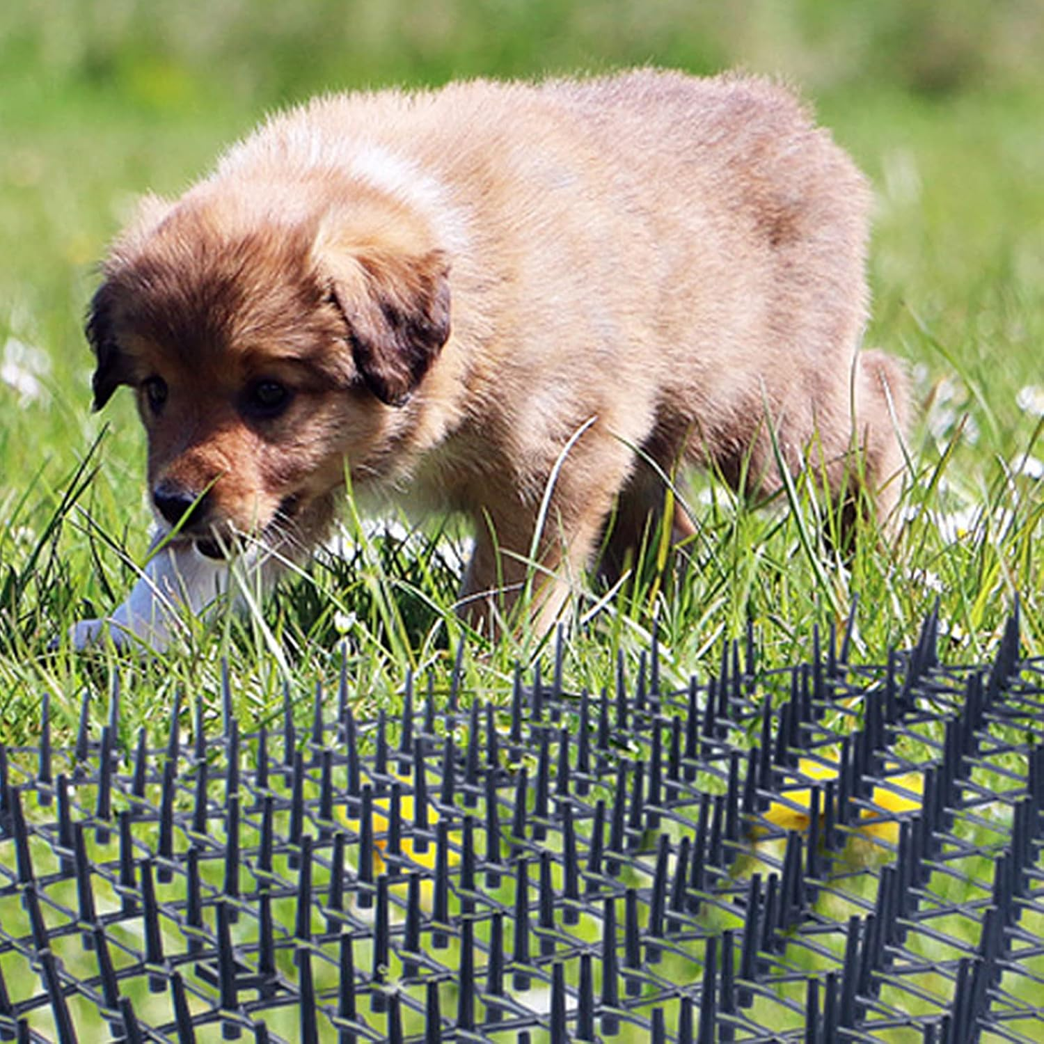 Transparent Cat Repellent Mat, 200 X 30 Cm Cat Mat with Spikes, for Peaceful Repellent of Cats and Other Animals (Black)