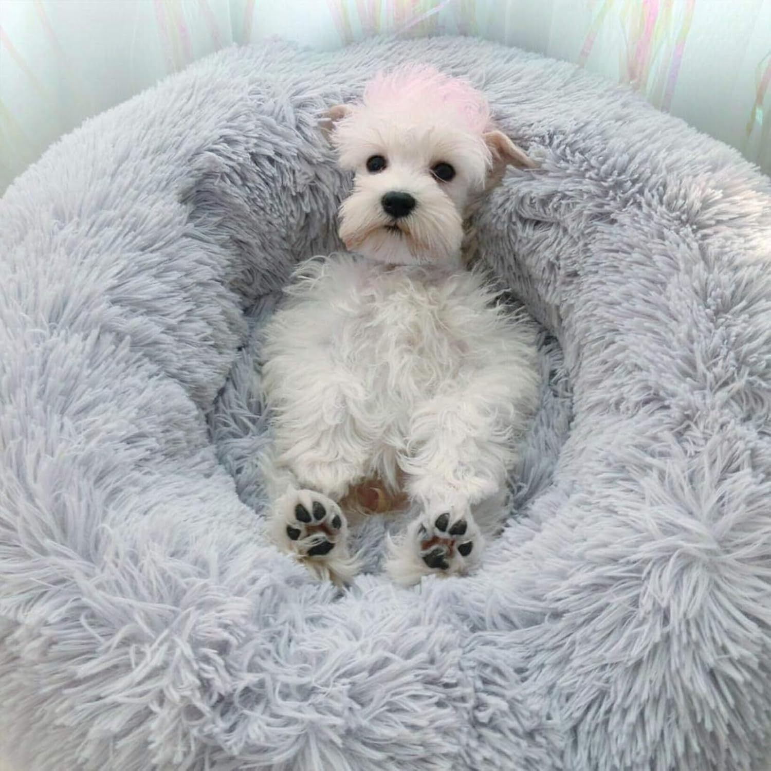 Plush Pet Bed, Doughnut Pet Bed, Cat Bed, Fluffy, Dog Bed, round Dog Cushion, Cat Basket, Sleeping Area, Plush Cat Cushion, Dog Cushion, Washable Puppy Bed, 40 Cm, Grey image number 2