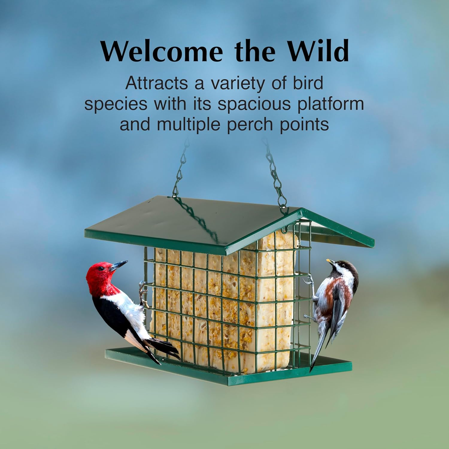 C&S CS750 EZ Fill Deluxe Snak Tm/Suet Feeder, Green image number 6