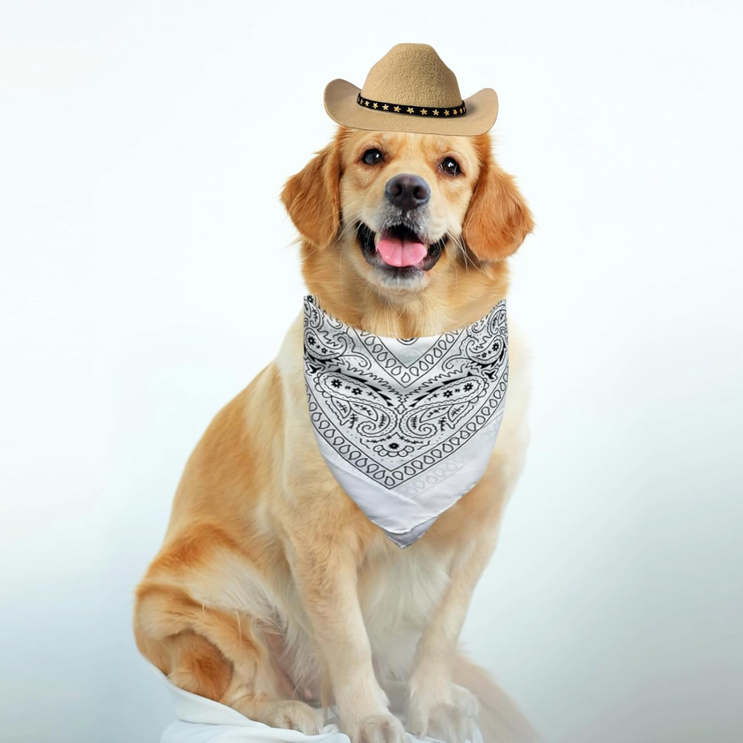 Dog Cowboy Hat Cat Cowboy Hat Mini Cowboy Hat for Dogs Cat Pet Cowboy Costume with Bandana Scarf Holiday Halloween Pet Party Decoration (Khaki, Large) image number 6