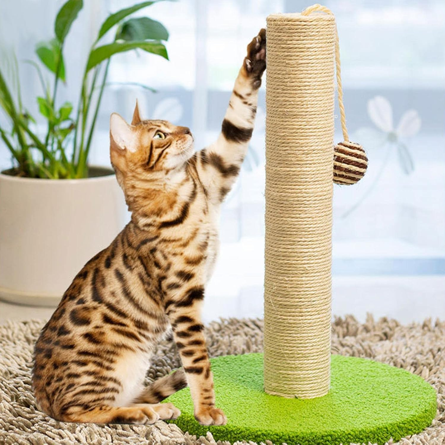 Cat Scratching Post for Indoor Cats, Sisal Rope Scratchers, Cat Scratch Post for Small & Large Cats, Cat Post with Dangling Ball Toy
