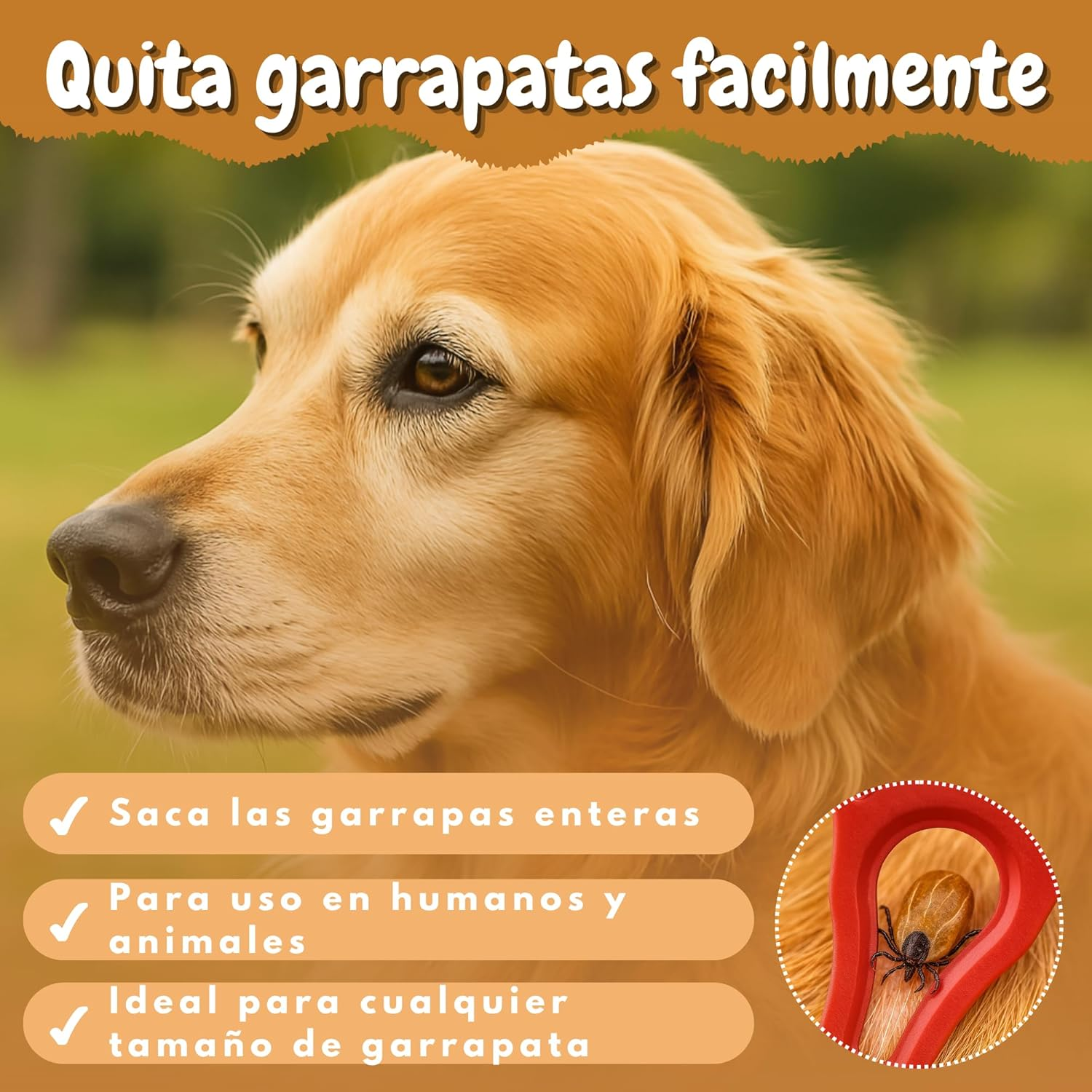 DEARKAN Tick Tweezers - Tick Remover for Dogs and Cats - Tool Type Keyring - Effective and Safe Tick Remover - Easy to Use and Carry - Tick Protection image number 2