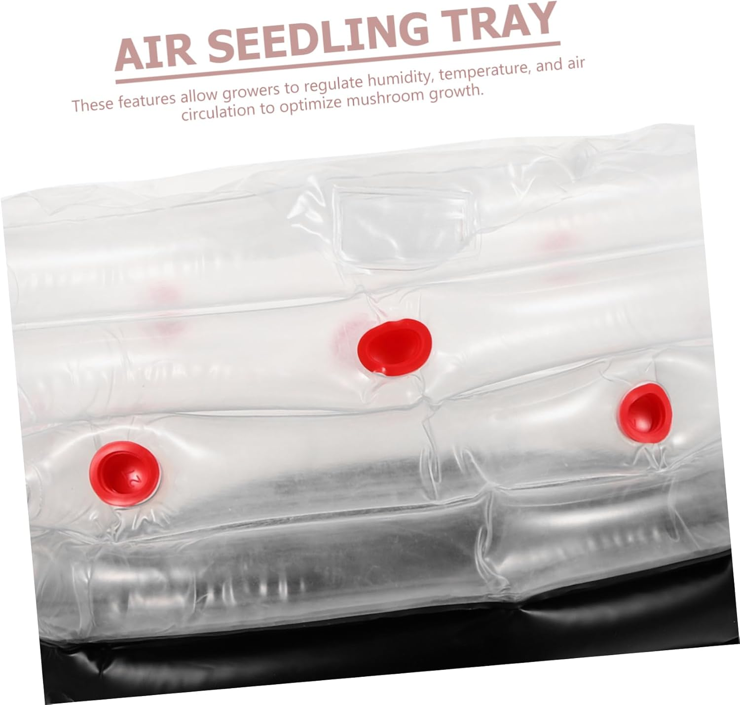 FONDOTIN Mushroom Growing Box Inflatable Planting Supply Robust Construction User-Friendly Design image number 3