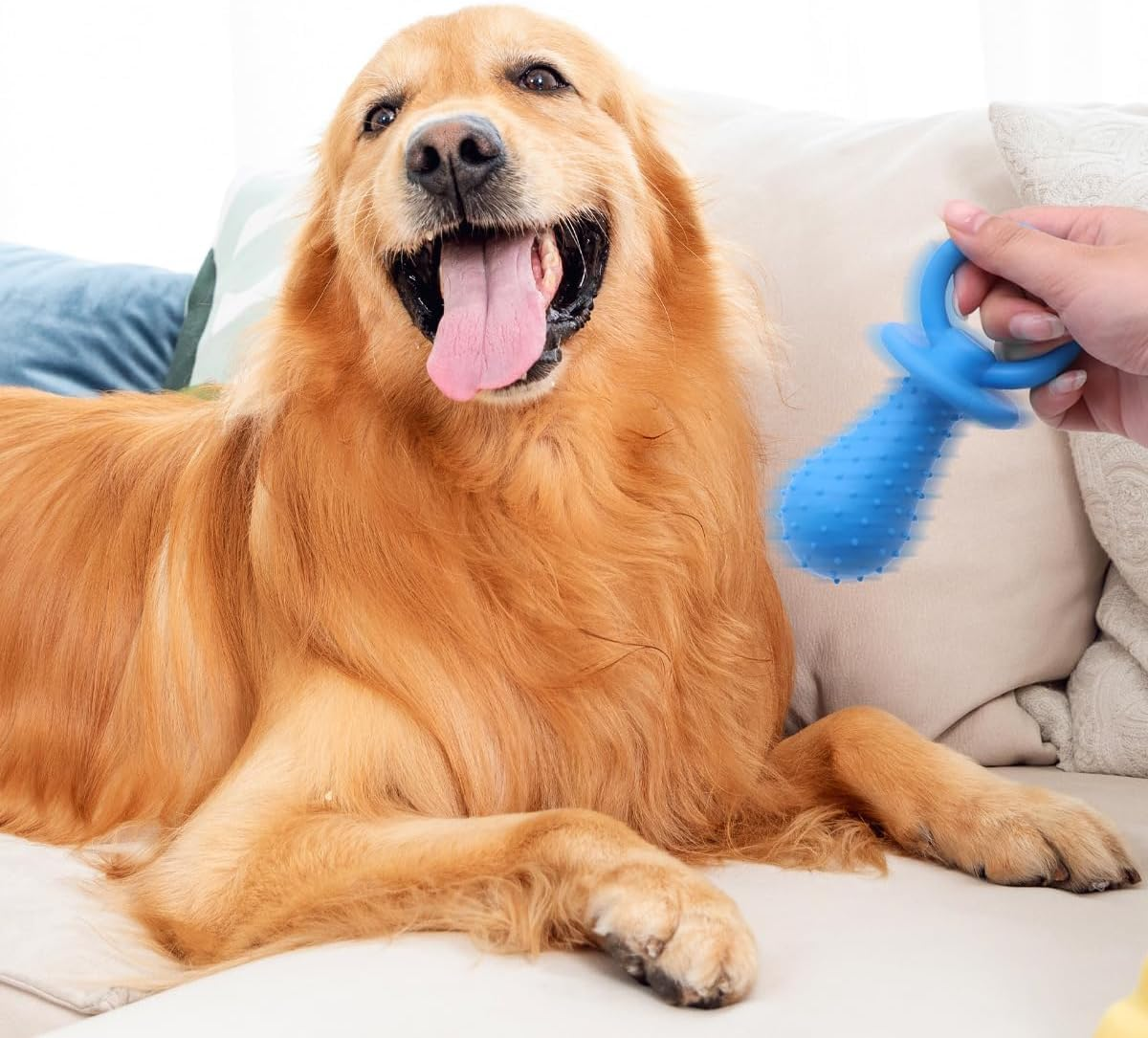 Blue Dog Pacifier,Chew Toys,Mini Bite Resistant Bell Shape Rubber Pacifier,Bell Chewing Playing Training Toys for Pet Puppy Dog Cat Pet Supplies,Pet Dog Puppy Molar Chew Training Toy,Chew Toys,Toys image number 2