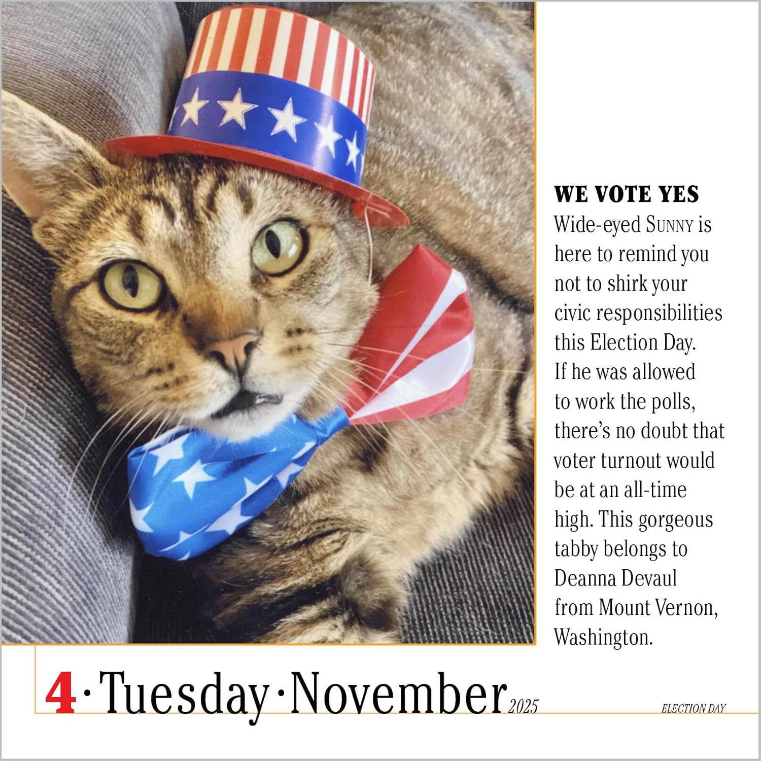 365 Cats Page-A-Day Calendar 2025: the World'S Favourite Cat Calendar image number 2