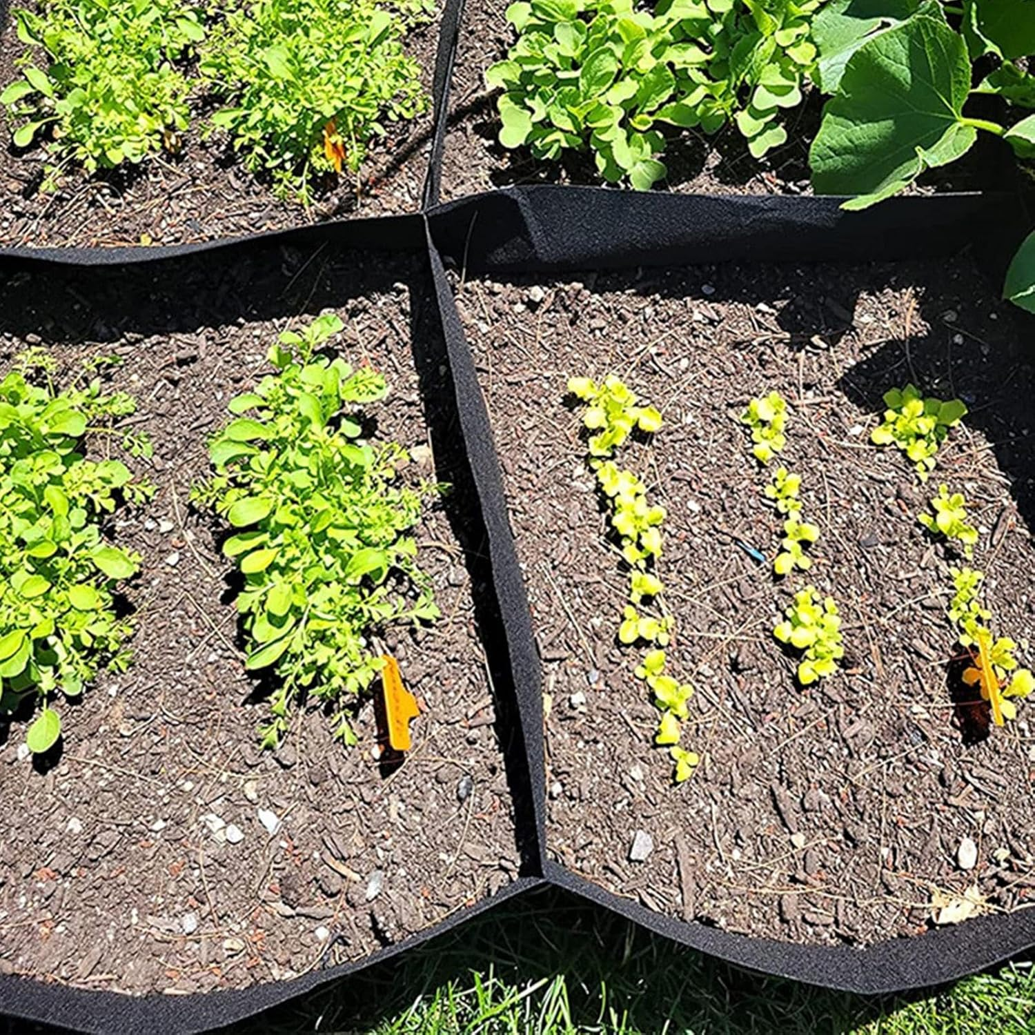 Fabric Garden Bed - 128 Gallon Raised Planter Rectangular Growing Bed | Garden Bed Vegetable Flower Growing Bag | Garden Supplies with 8 Compartment Grid Vegetable Flower Potato Planting Container image number 2