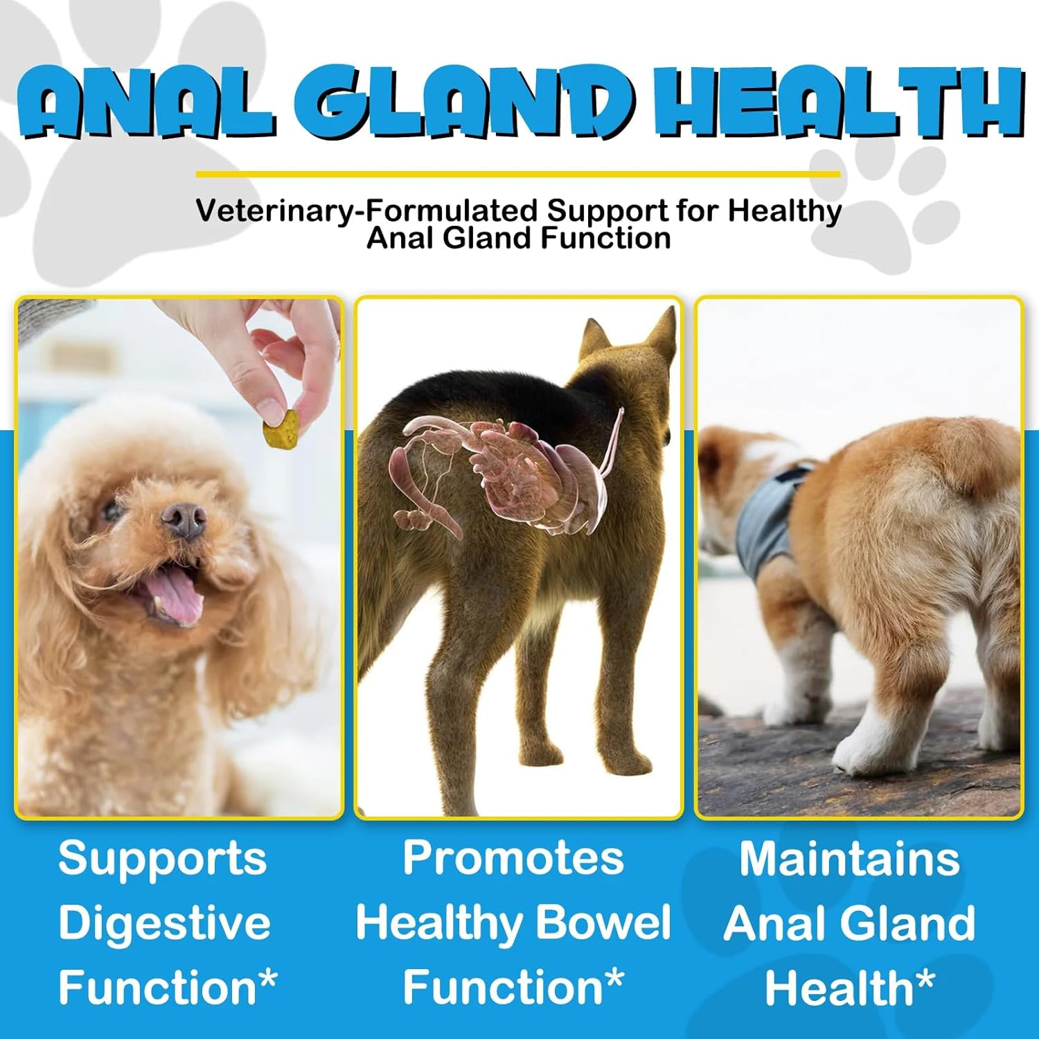 Dog Anal Gland Support Chews | Natural Formula for Digestive Health & Comfort | Promotes Anal Gland Function & Reduces Discomfort | 150 Chews image number 5