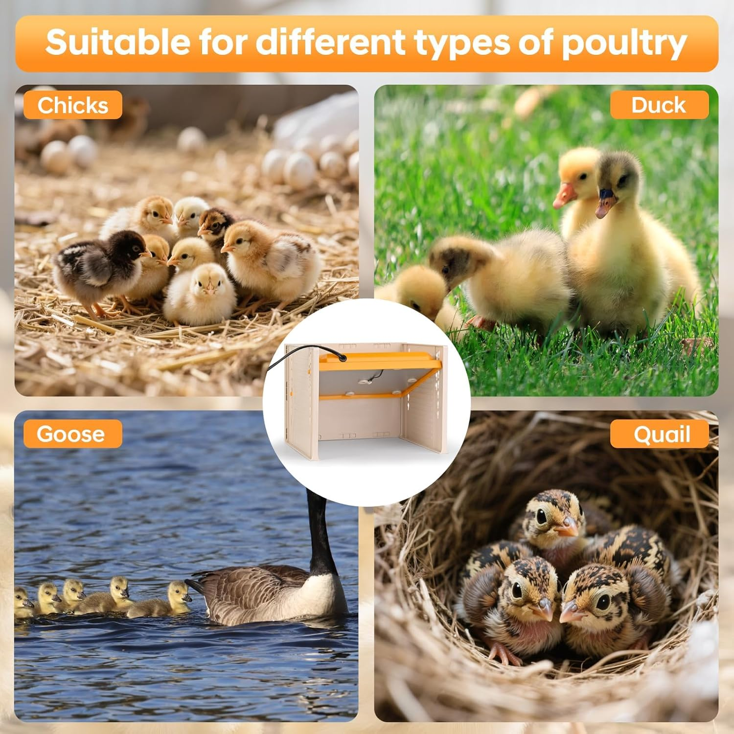 Adjustable Heat Plate with Temperature Control, 26.5 * 27.5Cm Chick Brooder Heater, Height & Angle Adjustable Heating Plate Warmer for Baby Chicken Coop, Ducks, Quails & Poultry image number 3