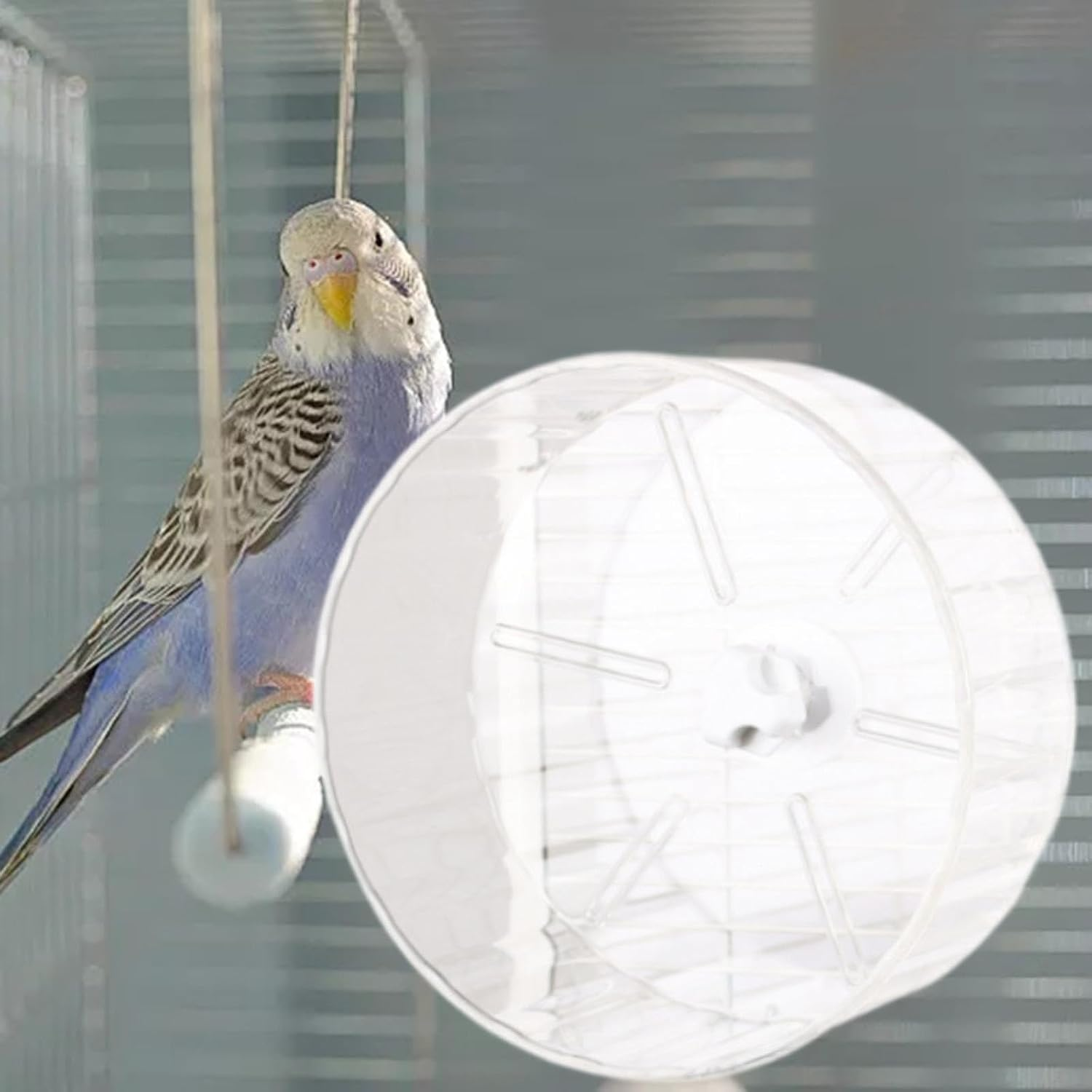 Fzaqwen Hamster Activity Wheel for Small Animals with Silent Rolling Feature, Clear image number 2