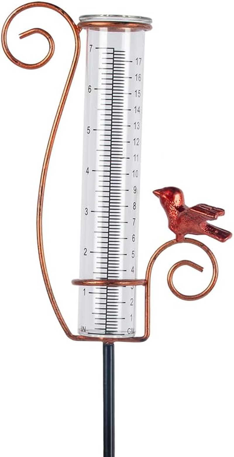 HOBYLUBY Dragonfly Rain Gauge Outdoor, 7 Inch Metal Rain Gauges for Measuring Precipitation, Patio, Garden Yard Decor