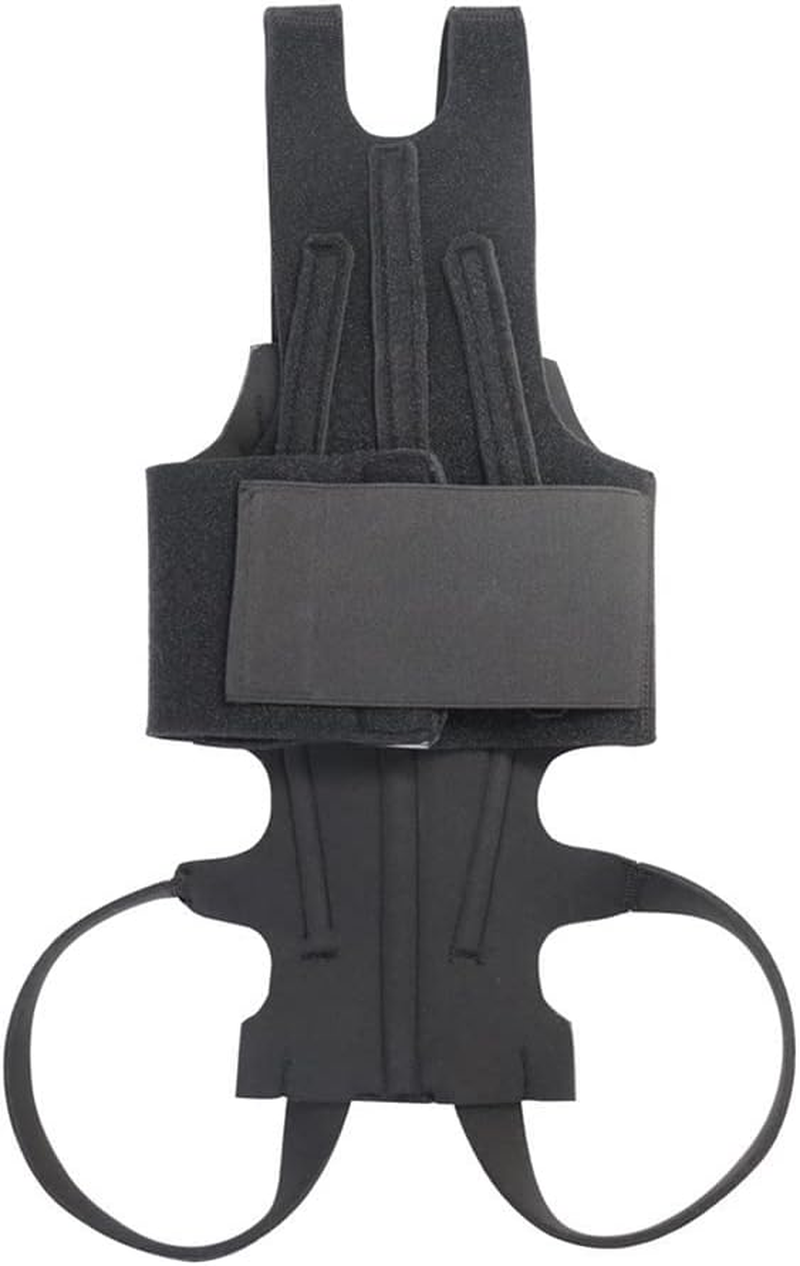 Dog Back Brace for IVDD, Back Brace Comfortable Full Body Harness Dog Clothing Dog Back Protector -L image number 2