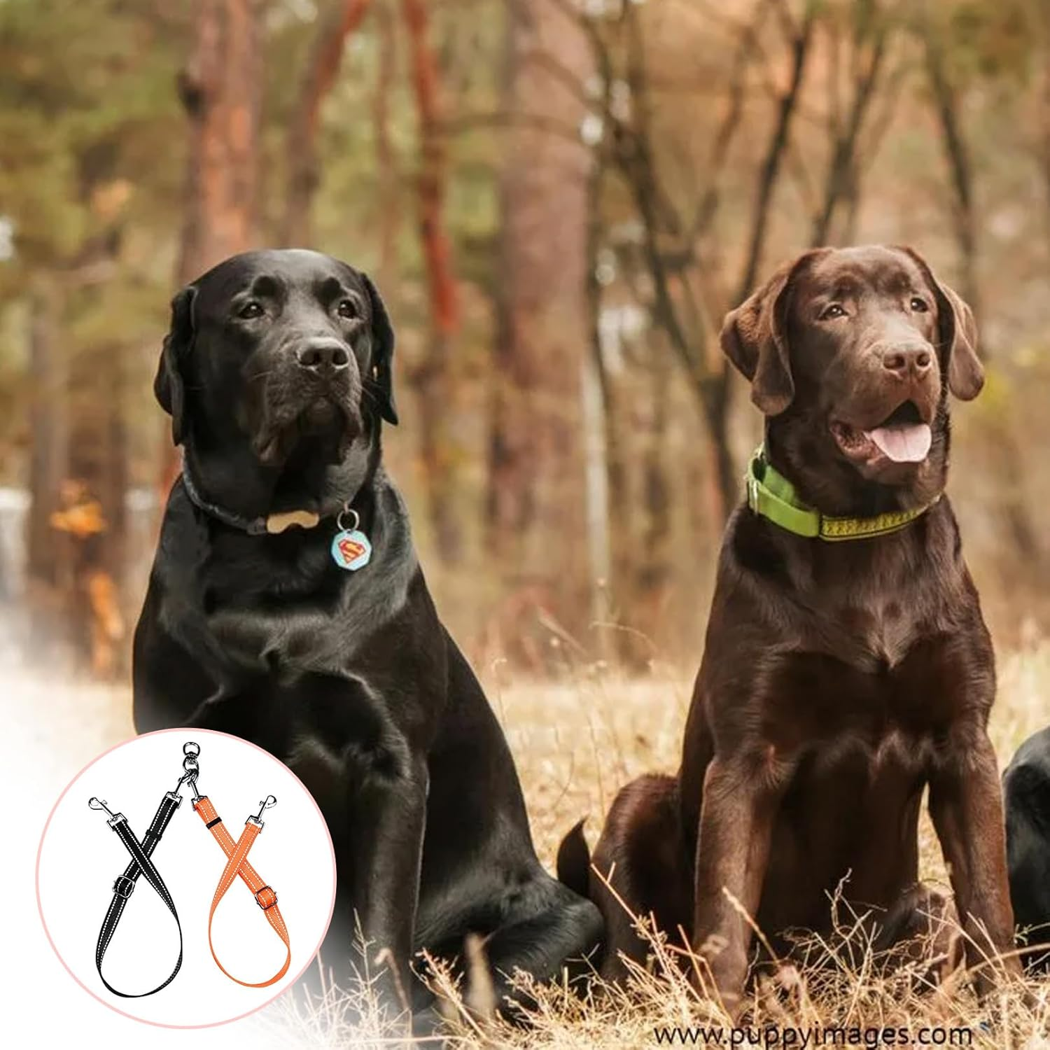 Double Dog Lead Multi 2 in 1 - Splitter for 2 Dogs, 360&deg; Rotatable, Adjustable Reflective Nylon Lead, No Tangle, Outdoor Hiking Lead for Puppies, Small, Medium, Running Training for Dog Leads image number 4