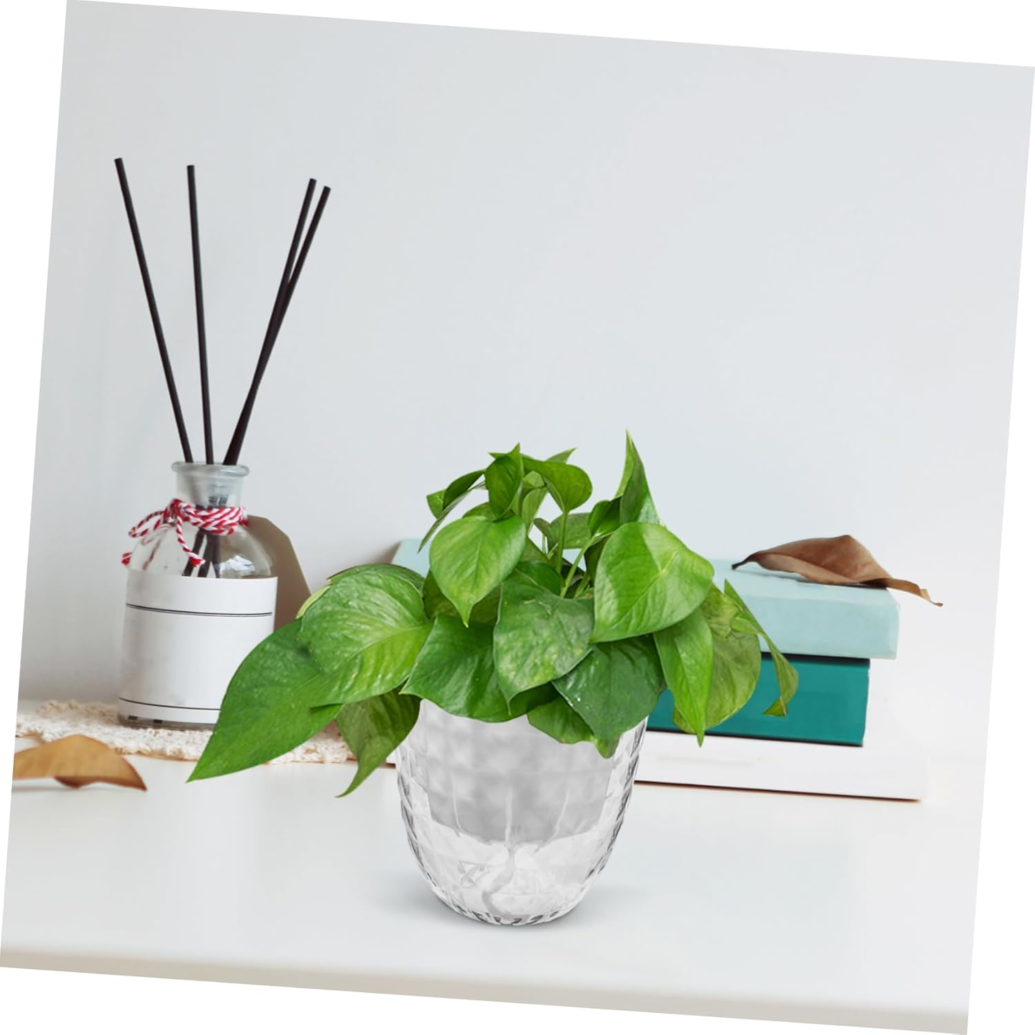 PAMINGONO 3Pcs Clear Self Watering Hydroponic for Indoor Plants Transparent Pots with Automatic Water Supply for Low-Maintenance Growth and Stylish Decor image number 2