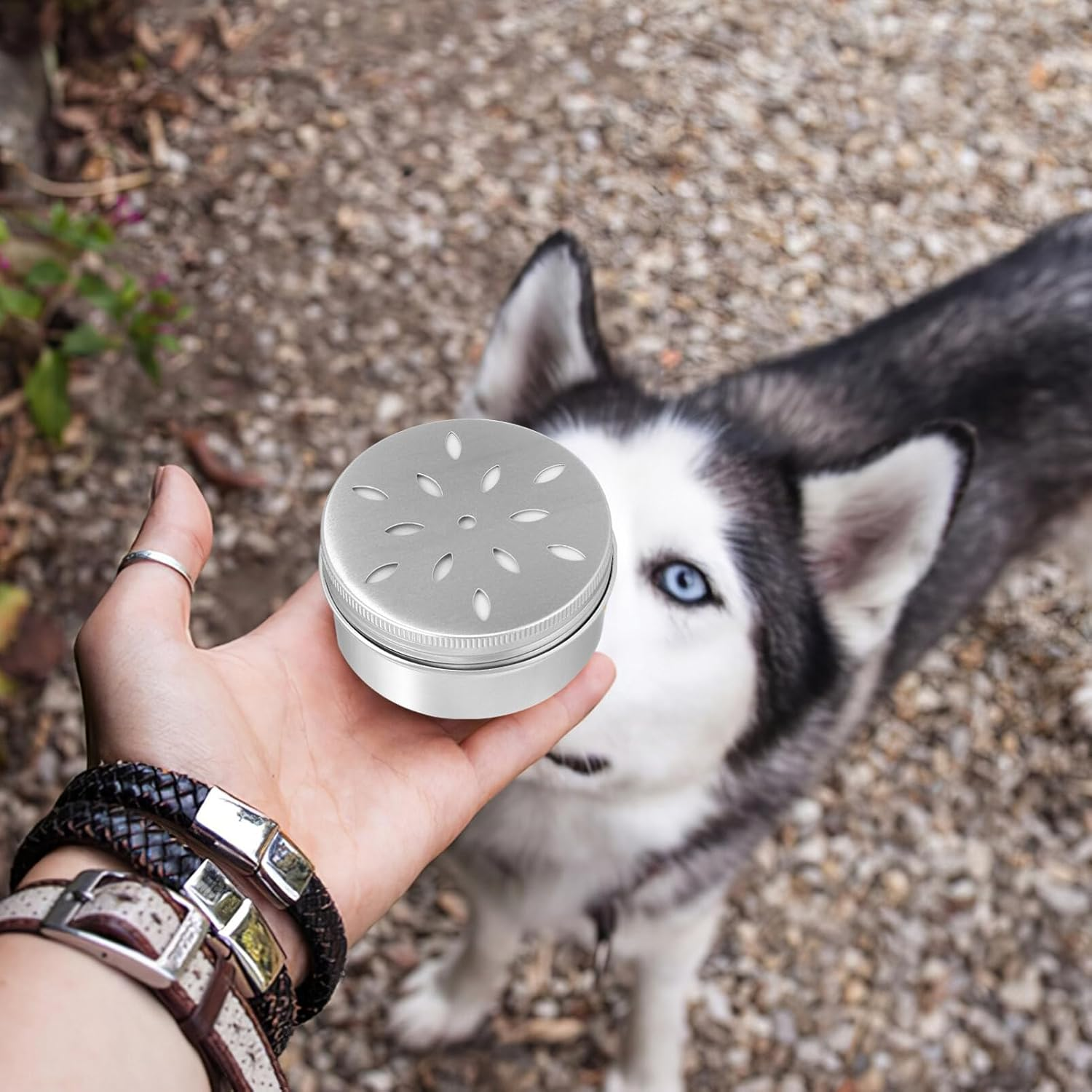 Mipcase Pack of 10 Dog Fragrance Training Box: Dog Fragrance Holder Dog Nose Metal Container Aluminium Agility Training Equipment Dog Fragrance Work Cans with Magnetic Dots image number 2