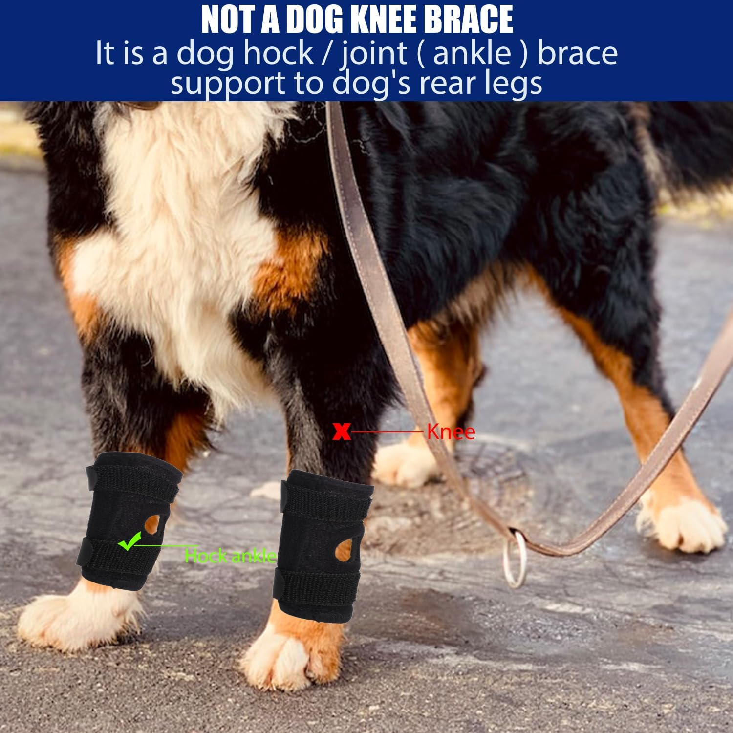 Dog Knee Brace for Rear Hock, Dog Leg Brace Rear Dog Front Leg Brace with Metal Bars Dog Canine Front Leg Brace Wrap for Wrist Support ACL Tear Wound Protection (Size L) image number 3