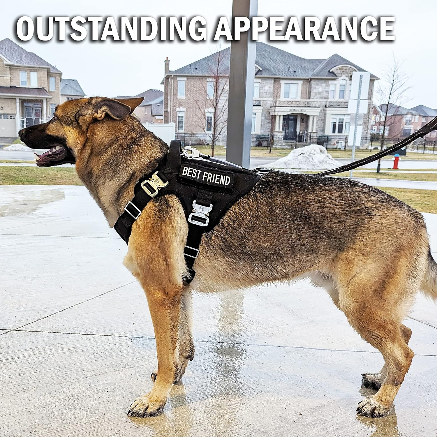 Pets Promax Heavy Duty Tactical Dog Harness with All Metal Buckles | No-Pull K9 Vest with MOLLE System & Handle for Medium Dogs | Waterproof & Durable for Training, Hiking, and Service. Black (M) image number 6