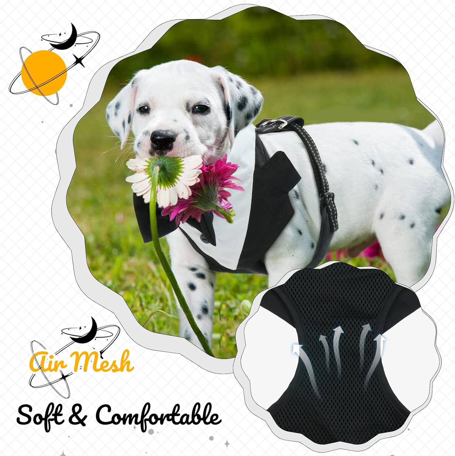 Dog Tuxedo Harness, No Pull Dog Tuxedo Vest Harness with Leash, Adjustable Doggie Wedding Suit Costume with Bow Tie for Small Medium Dogs, Birthday, Walking (Balck L) image number 1