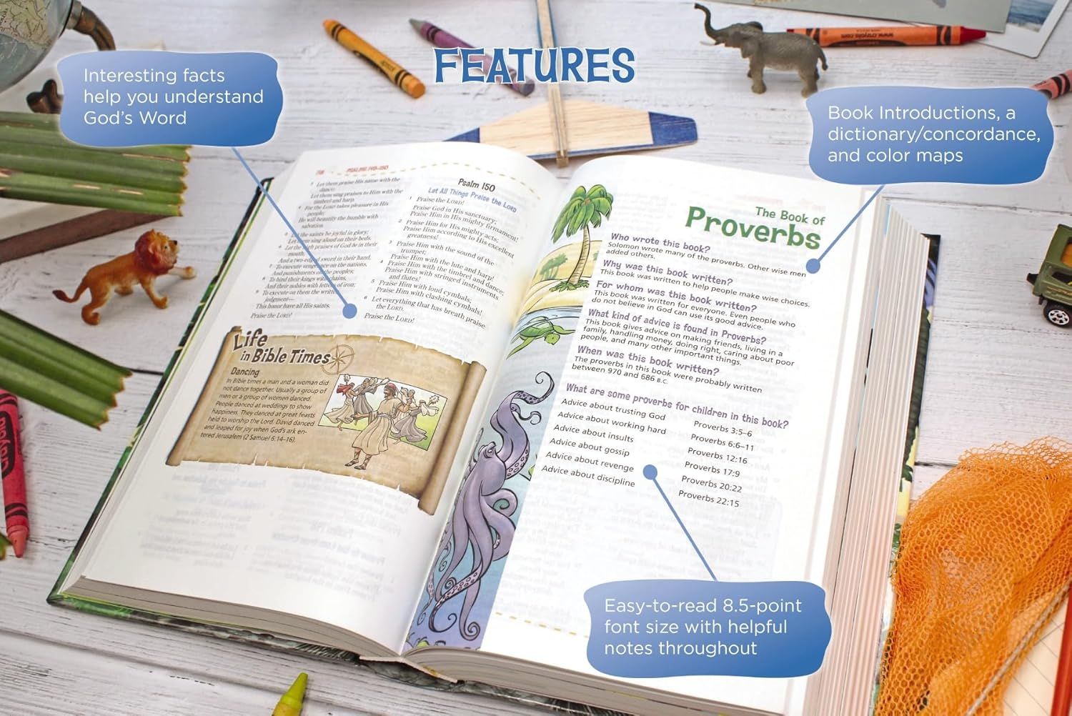 Adventure Bible-Nkjv image number 6