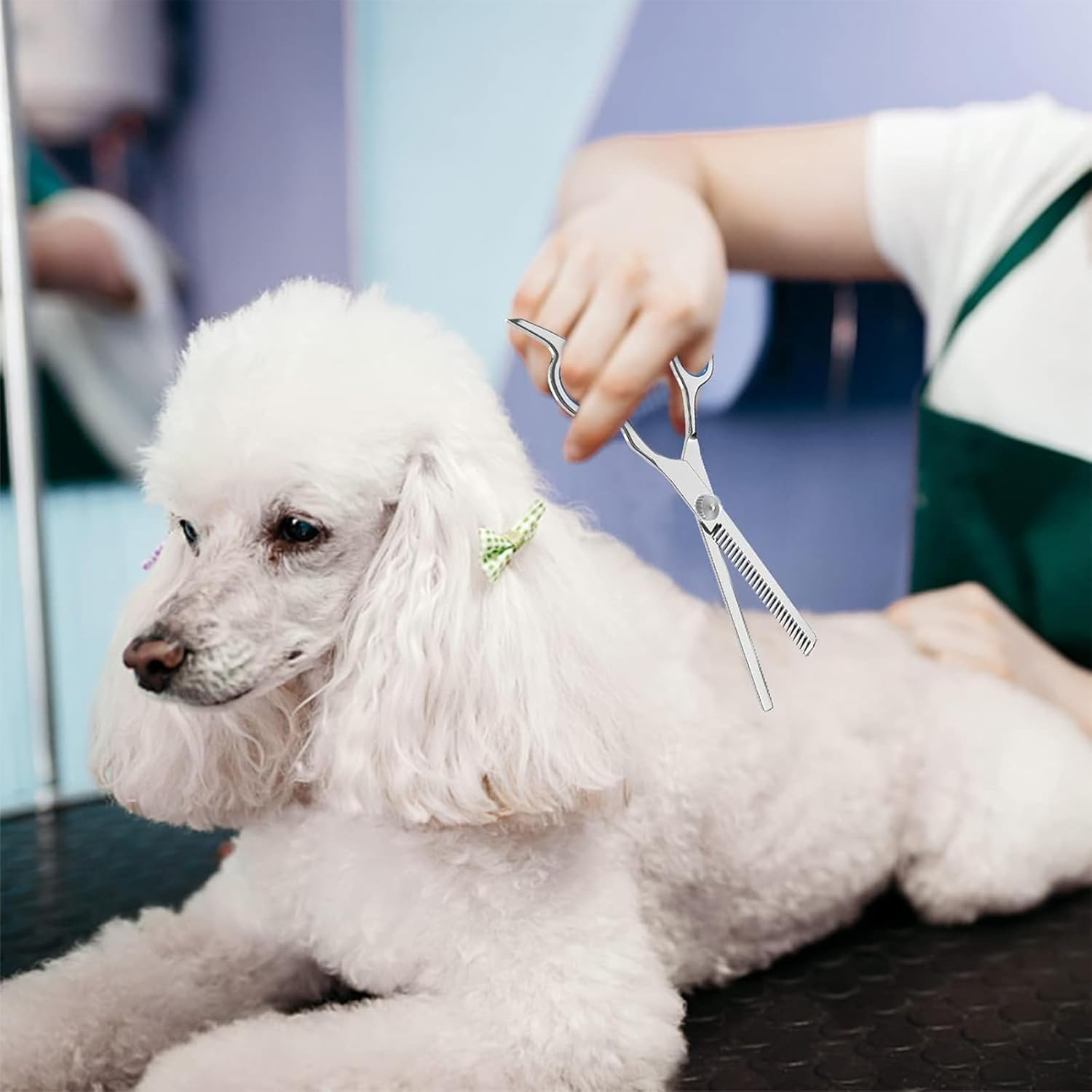 Professional 6 Inch Stainless Steel Pet Grooming Scissors for Dogs and Cats - Curved and Paw Scissors (B) image number 3