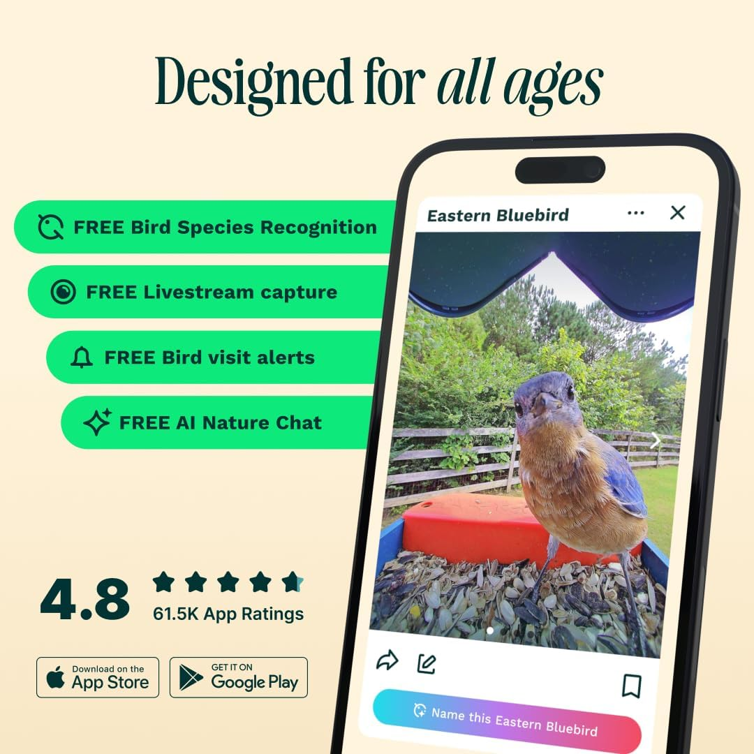 Bird Buddy Non Solar Smart Bird Feeder with Camera - Ai Bird Species Identification, 5Mp Photos, 2K Hd Video Live Stream Camera, Battery-Powered Charging, 2.8In Focus - Blue image number 6