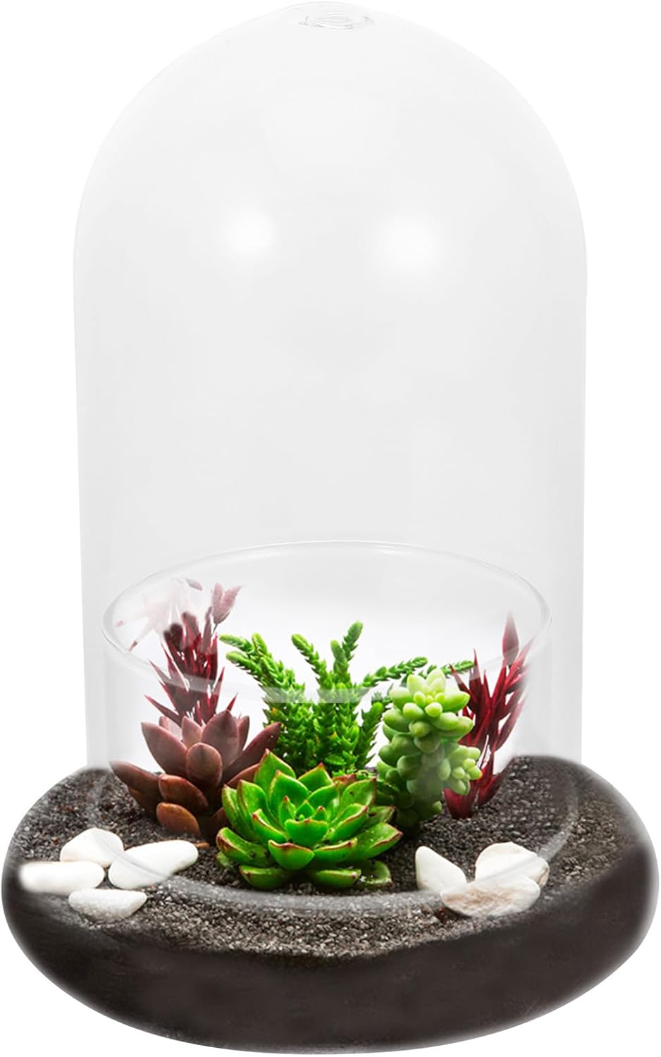 Cabilock 2Pcs Glass Cloche Bell Jar with round Base Glass Cloche Dome Jar Terrarium Glass Dome Bottle Miniature Floral Decoration