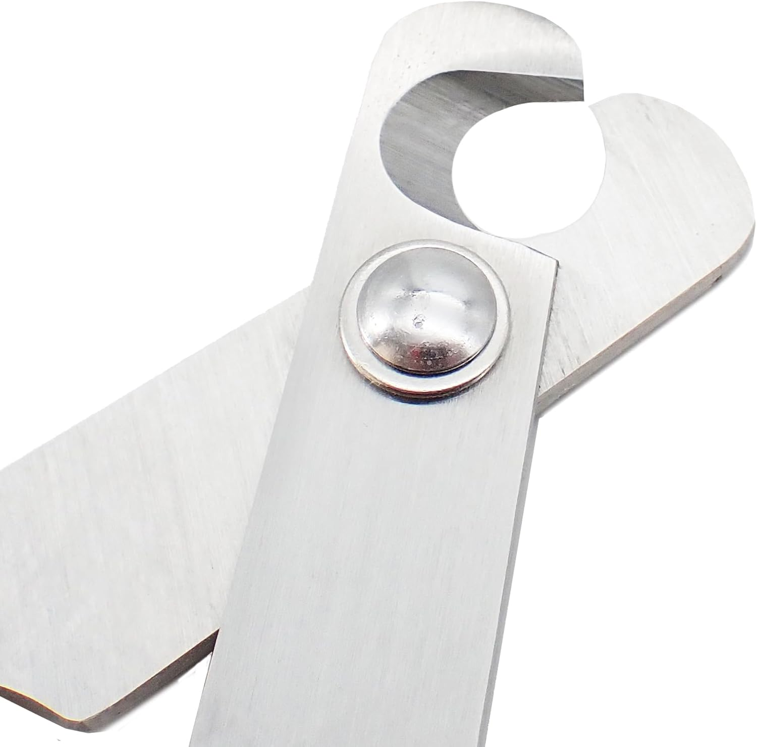 Friendly Dog Nail Clippers image number 2