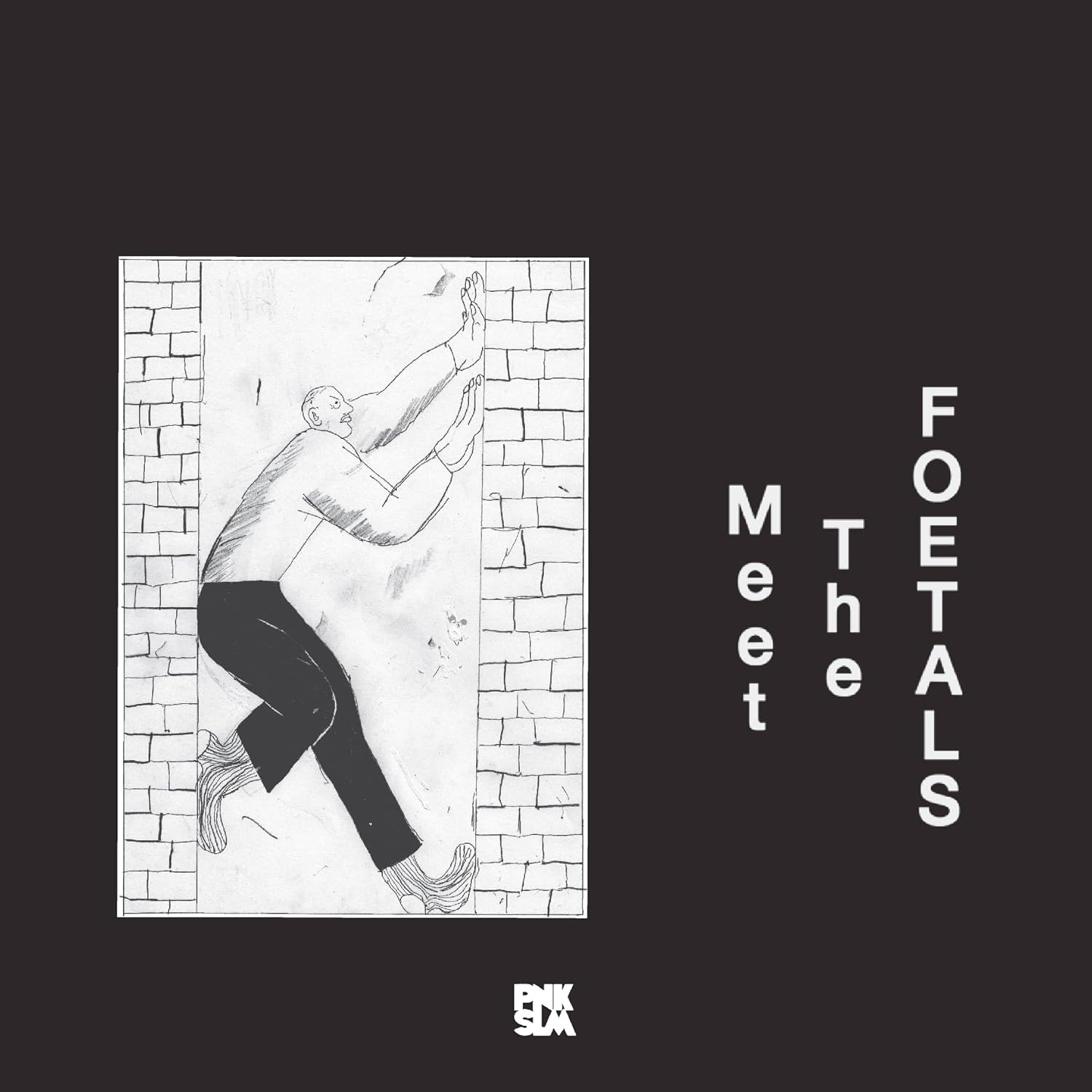 PNKSLM Recordings the Foetals &ndash; Meet the Foetals Vinyl, Long Play Music CD