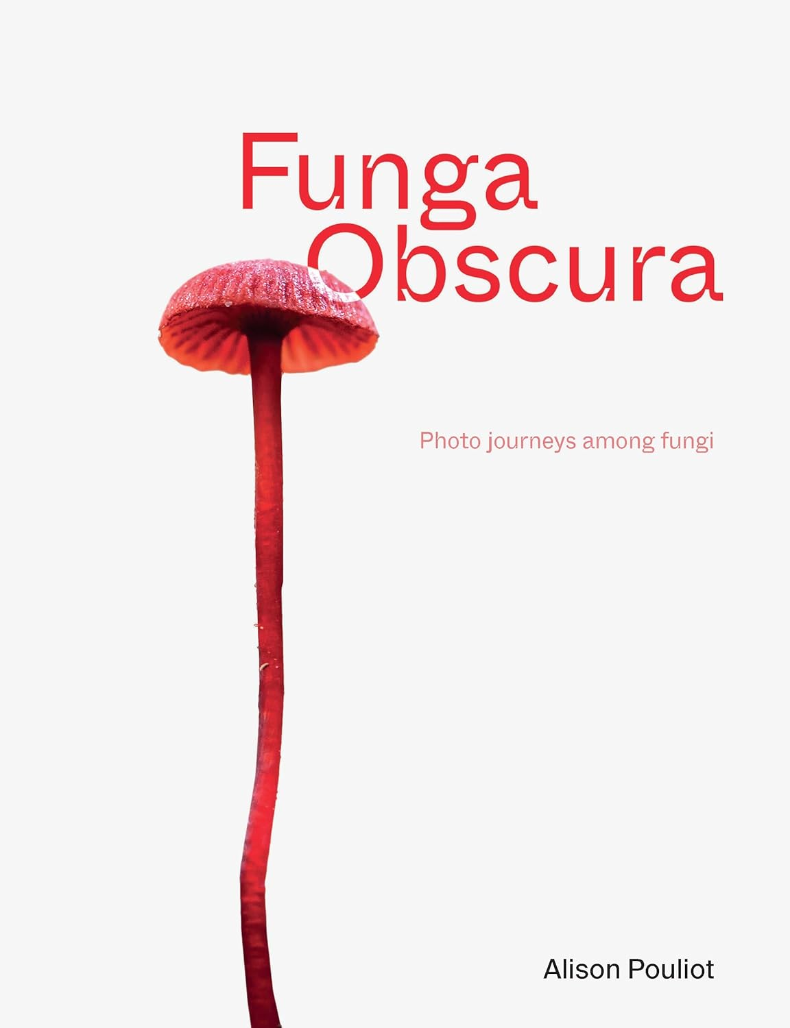 Funga Obscura: Photo Journeys among Fungi