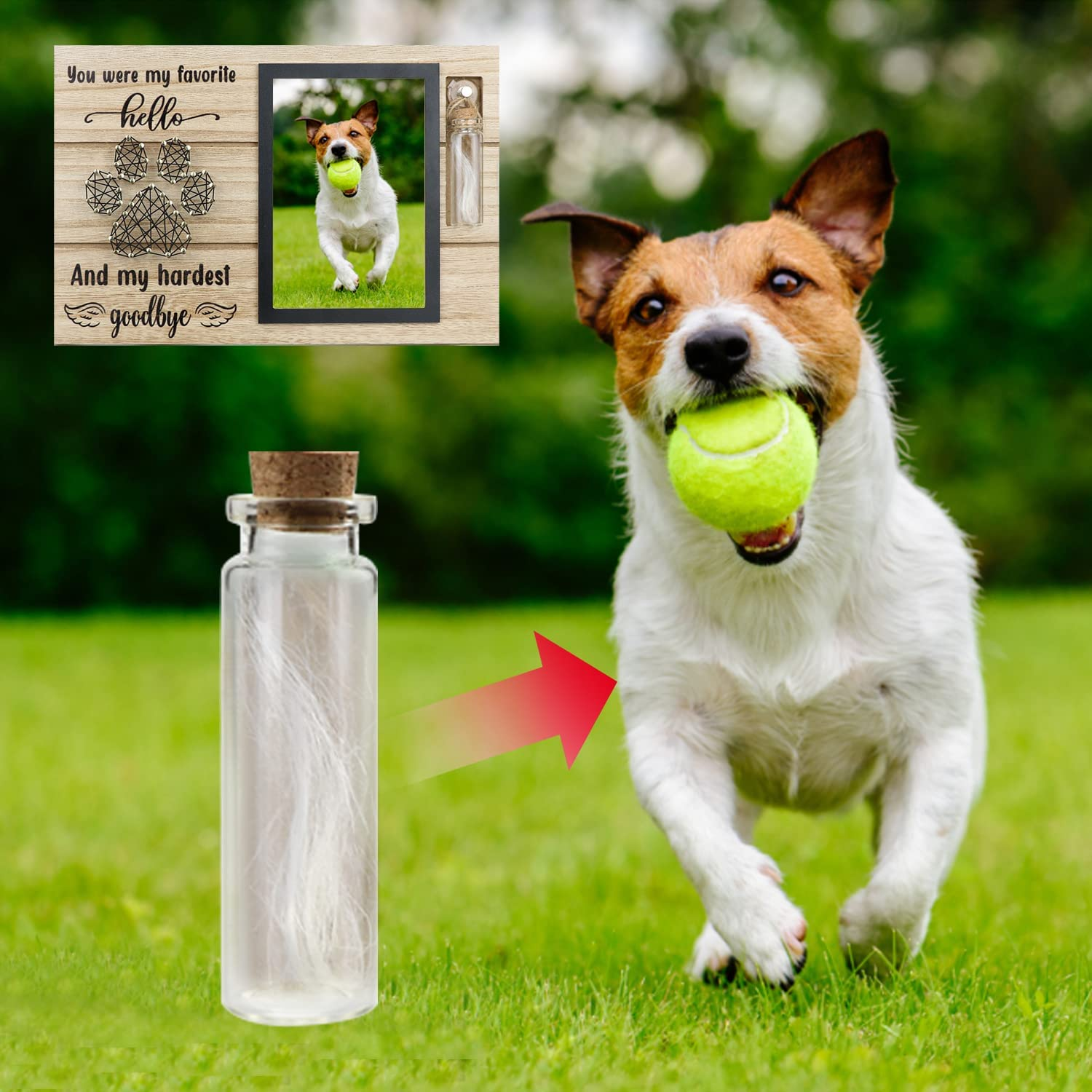 Free-Space Pet Memorial Picture Frame with Small Glass Bottle for Ashes or Hair Dog Cat Loss Gift (Black) image number 3