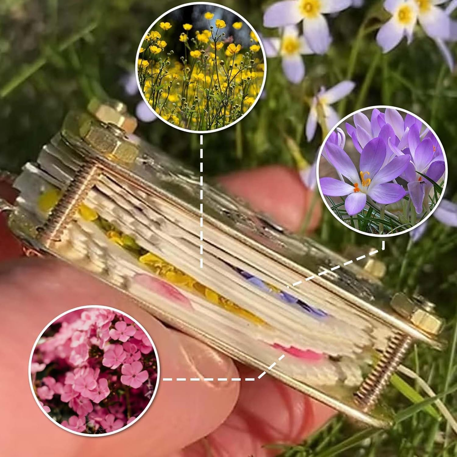 Micro Flower Press, Miniature Flowers Press Kit, Plants Art & Crafts Metal Flowers Pressing, Microwave Flower Press, DIY Pressed Plant Preservation Kit (Sunflower) image number 4