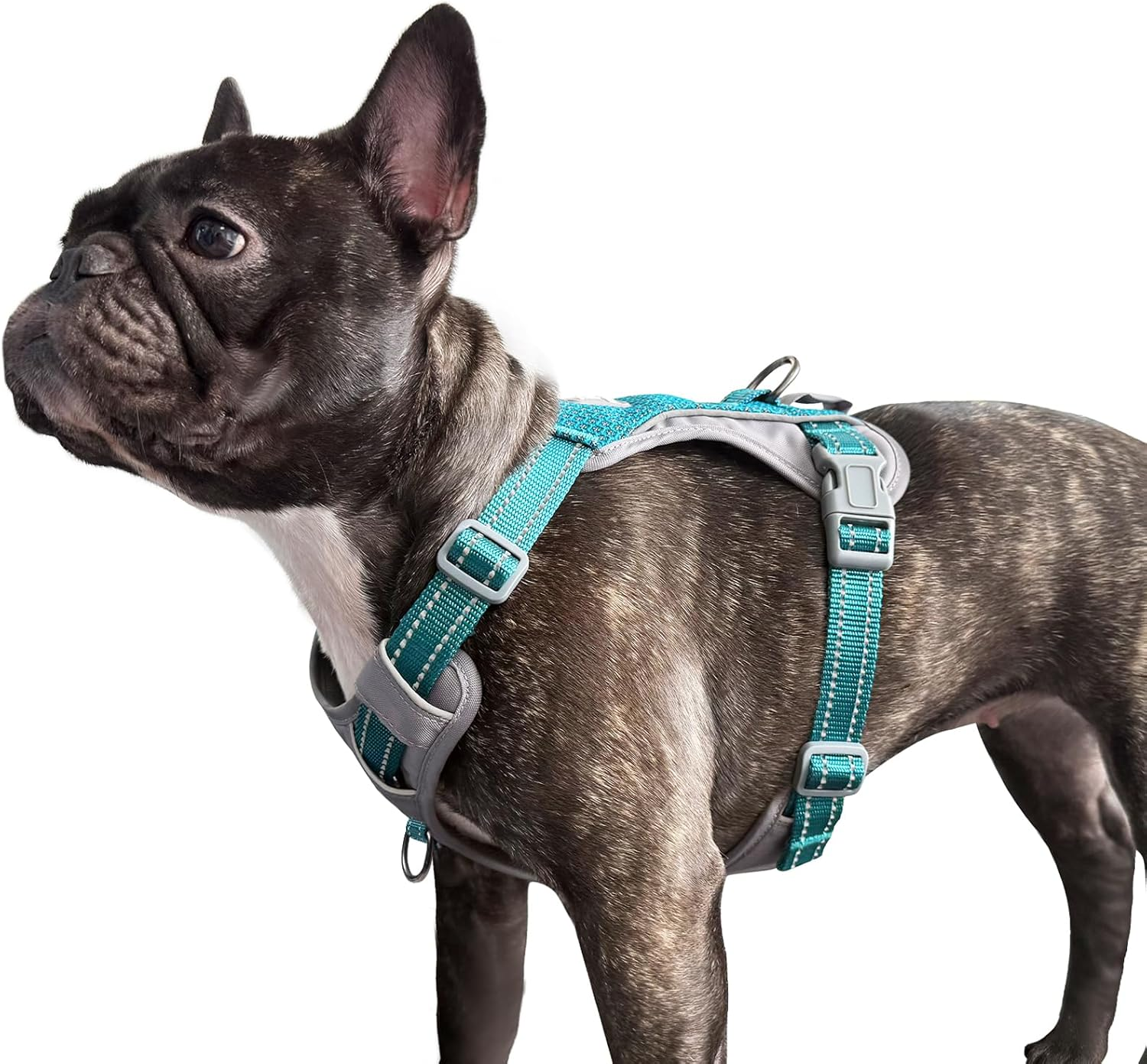 Huntboo No-Pull Dog Harness, Fully Reflective Vest with 2 Leash Clips, No-Choke, Adjustable, Breathable & Durable for Small, Medium & Large Dogs Walking, Training, Running (Light Pink, L)