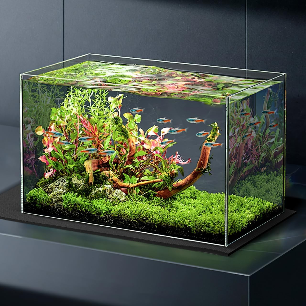 Mobestech Aquarium Accessories Mats anti Skid Pads Pad for Fish Tank under Fish Tank Mat Household Tank Aquarium in Home Terrarium Storage Tank Thick Bottom image number 2