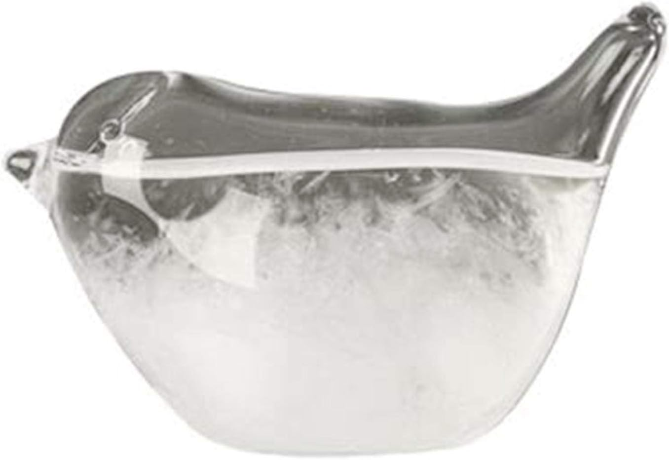 Storm Glass Weather Station | Craft Bird Shape Barometer Bottles Table Decoration - Weather Predicting Globe Storm Glass Cloud Forecaster for Home