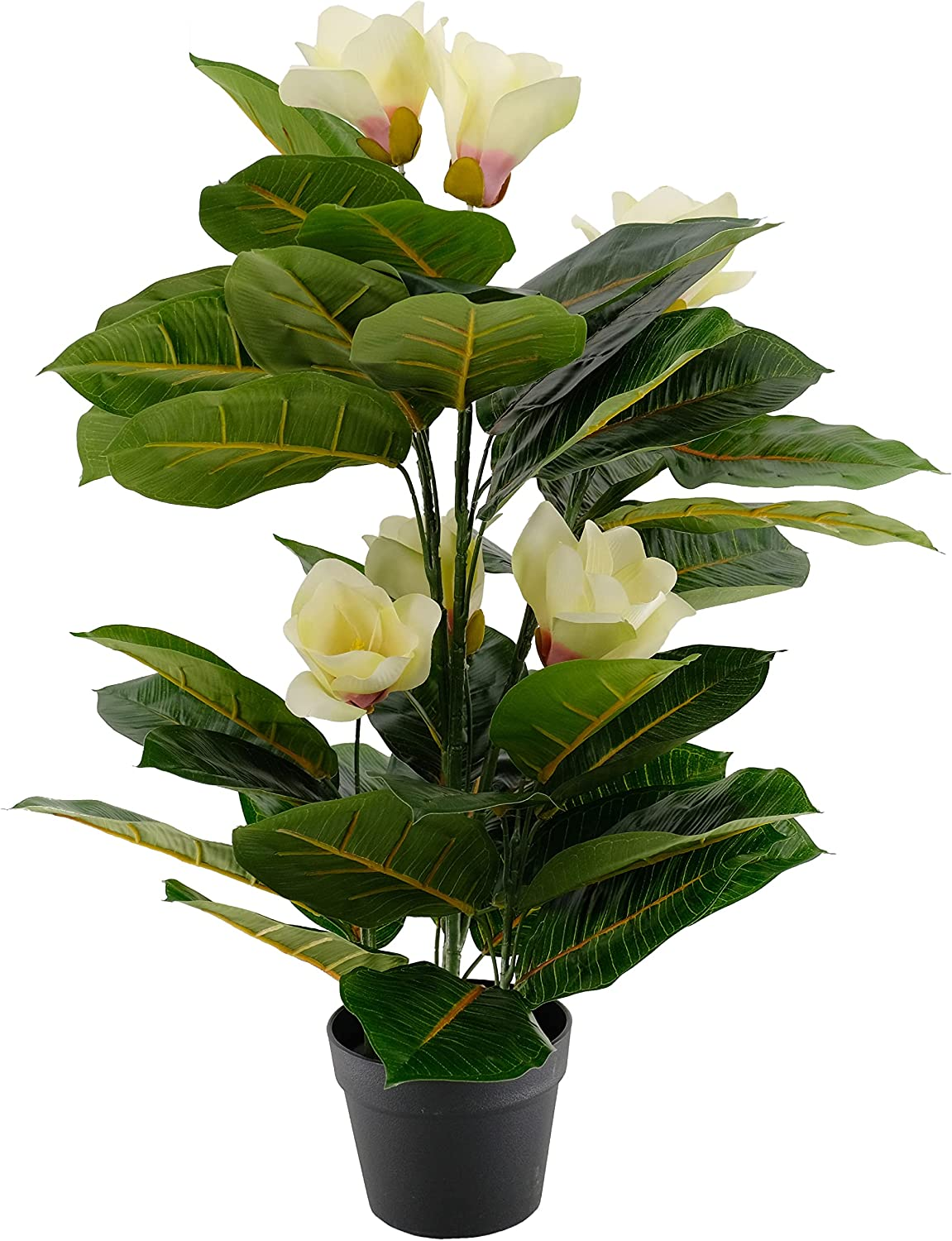EZY Hedge and Plants 2.6Ft Artificial Magnolia Flowering Plant Potted Fake Plant for Home Office Shop Cafe Indoor Bathroom Decor, 80Cm, Multicolor image number 2