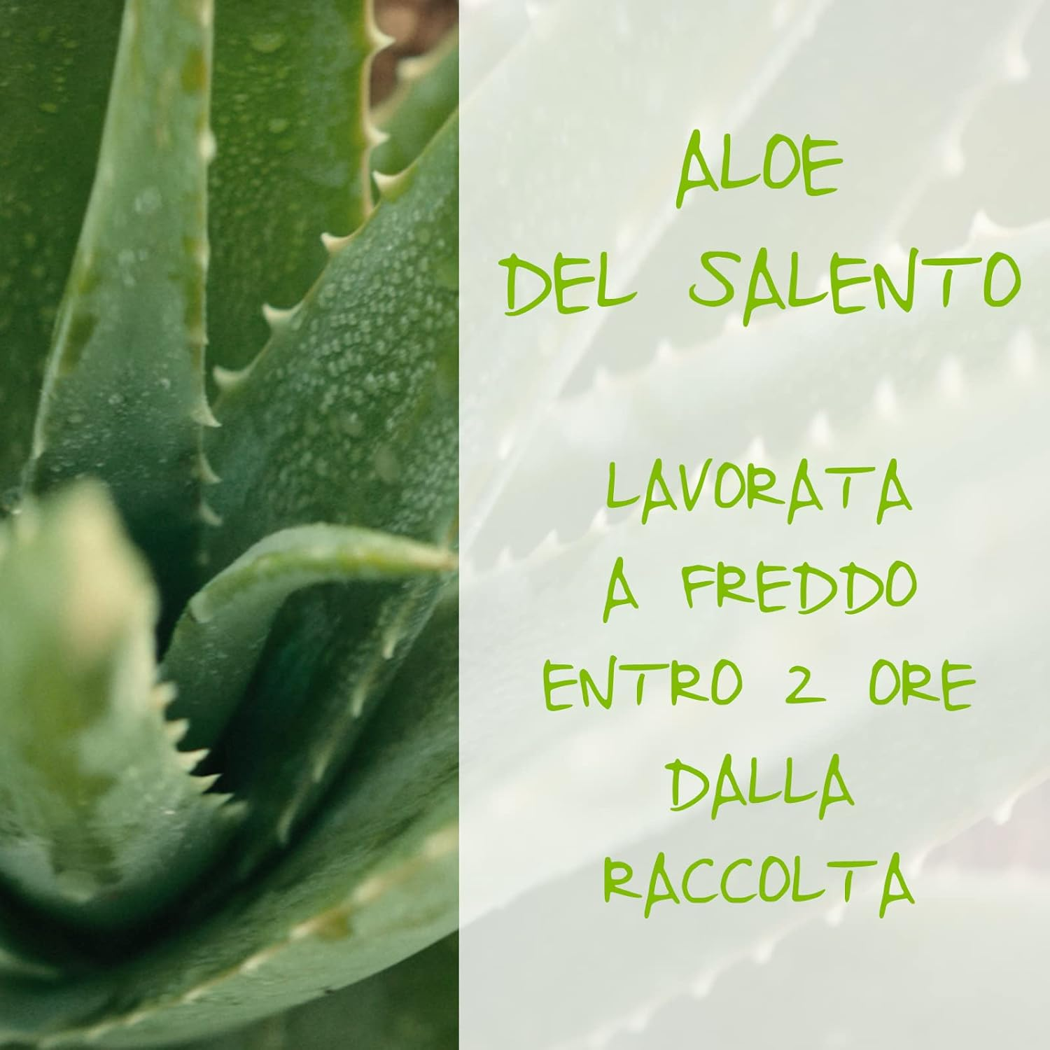 Omia Crema Corpo Eco Bio Con Aloe Vera Del Salento, Giara 150 Ml image number 1