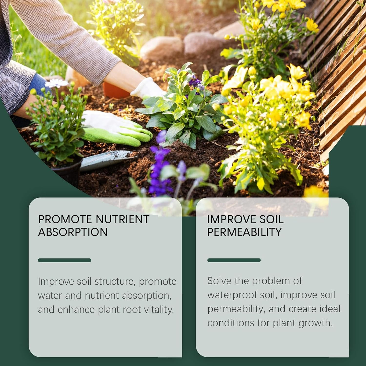 Carnivorous Plants Liquid Fertilizer, 100Ml Plant Fertilizer, Venus Fly Trap Plant Food, Plant Food Indoor House Plant, Tropical Plant Fertilizer, Tropical Plant Fertilizer Drops for Venus Flytraps image number 5