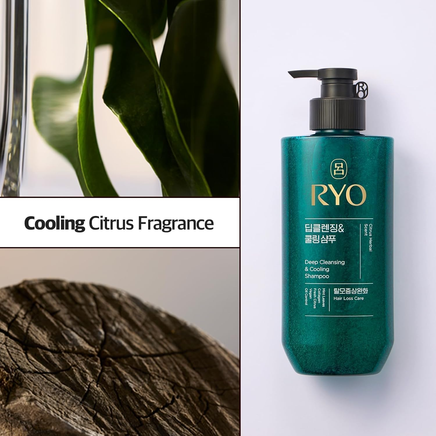 Deep Cleansing Shampoo 480Ml with Korean Ginseng & Caffeine - Cooling and Refreshing for Oily Scalp, Hair Loss Care, Anti-Dandruff, Sebum Control. Korean Beauty Hair Loss Care for Ryo. image number 3