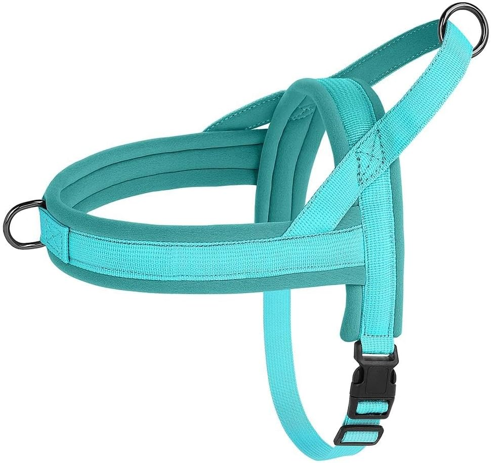 Durable Nylon Dog Harness Soft Comfortable No Pull Small and Medium Dog Harness Adjustable Pet Harness for Chihuahua Pug French Bulldog,E,S